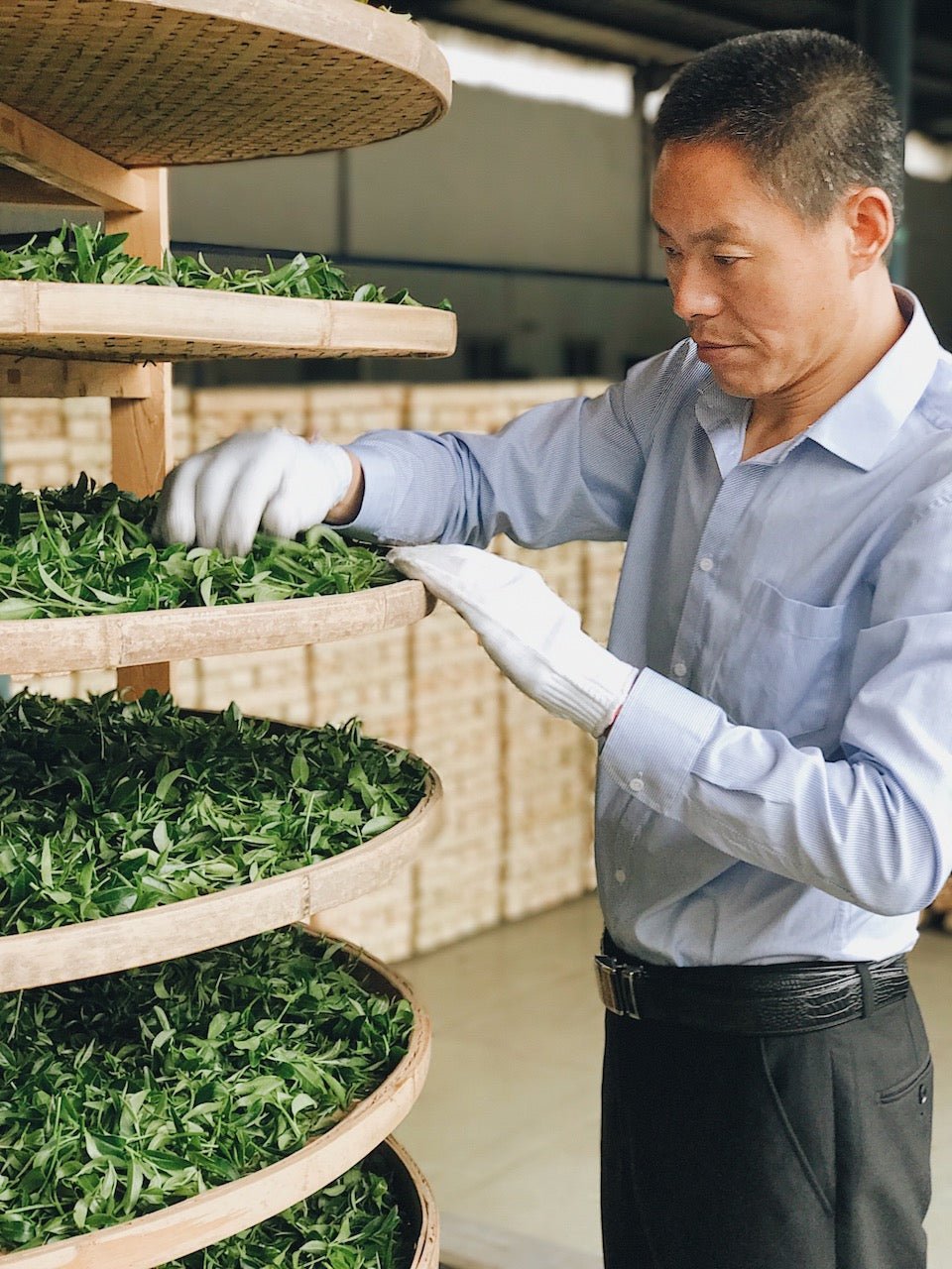 BUTTER FOR TEA? DISCOVER TIBETAN DARK, BRICK TEA - O5 RARE TEA BAR