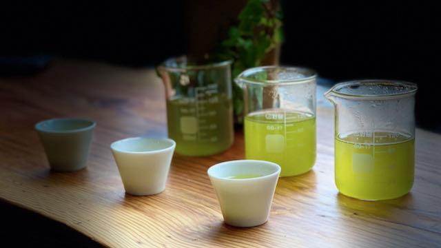 TEA SCHOOL | Gifu, An Under-Appreciated Origin - O5 RARE TEA BAR