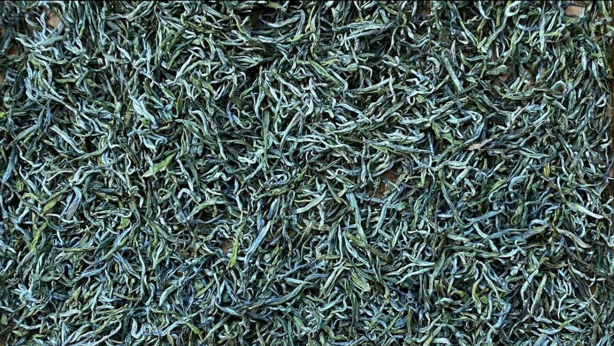 Huang Shan (Yellow Mountain 黃山), Special Tea Origin - O5 RARE TEA BAR