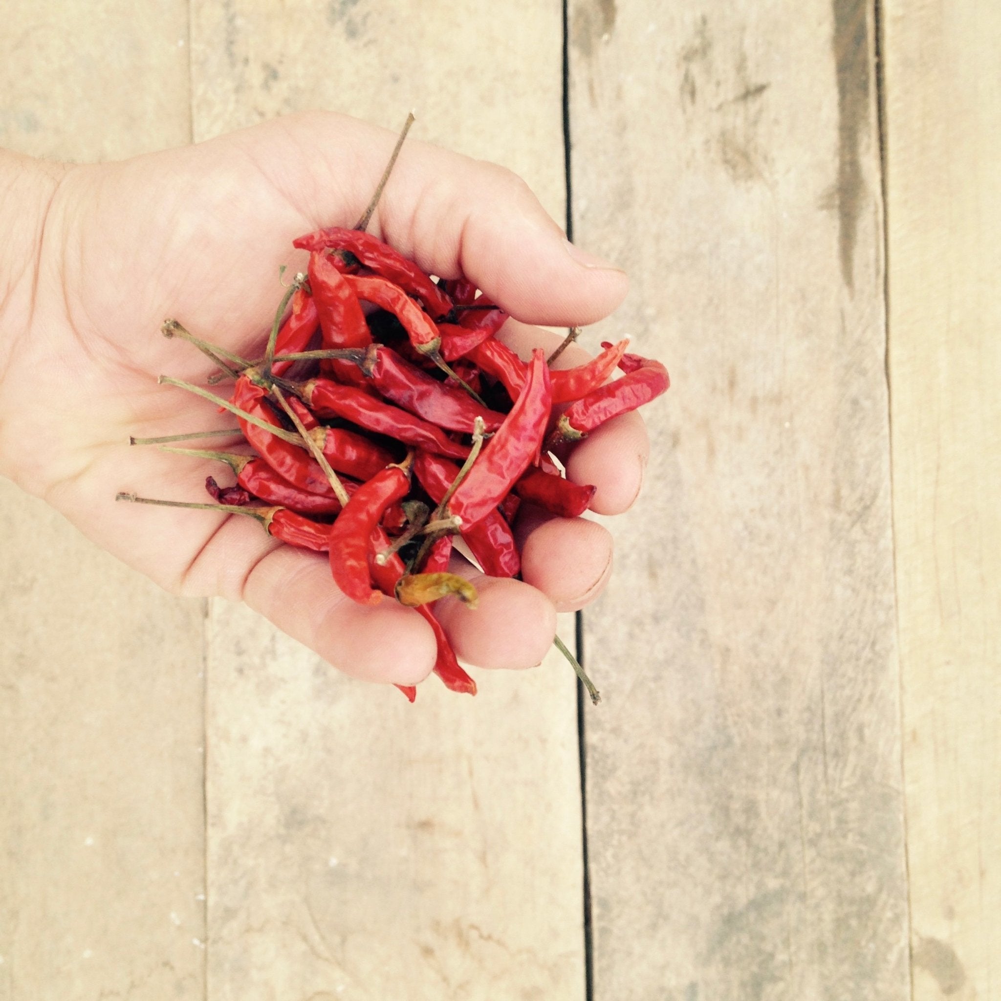 What makes Yunnan special? An introduction to the origin of tea. - O5 RARE TEA BAR
