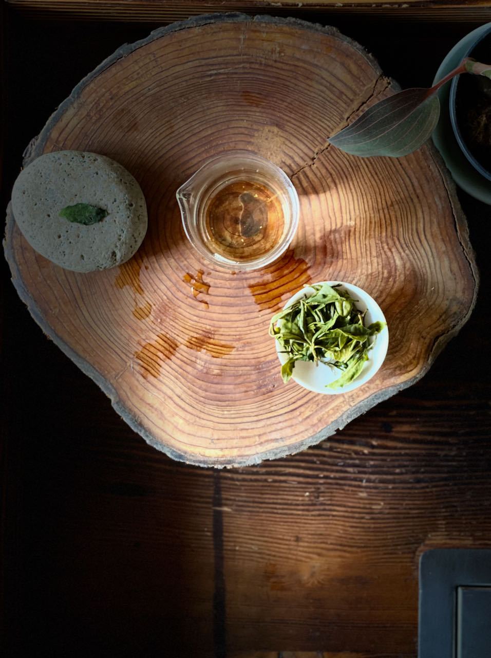 Wild-Harvested & Uncultivated - O5 RARE TEA BAR