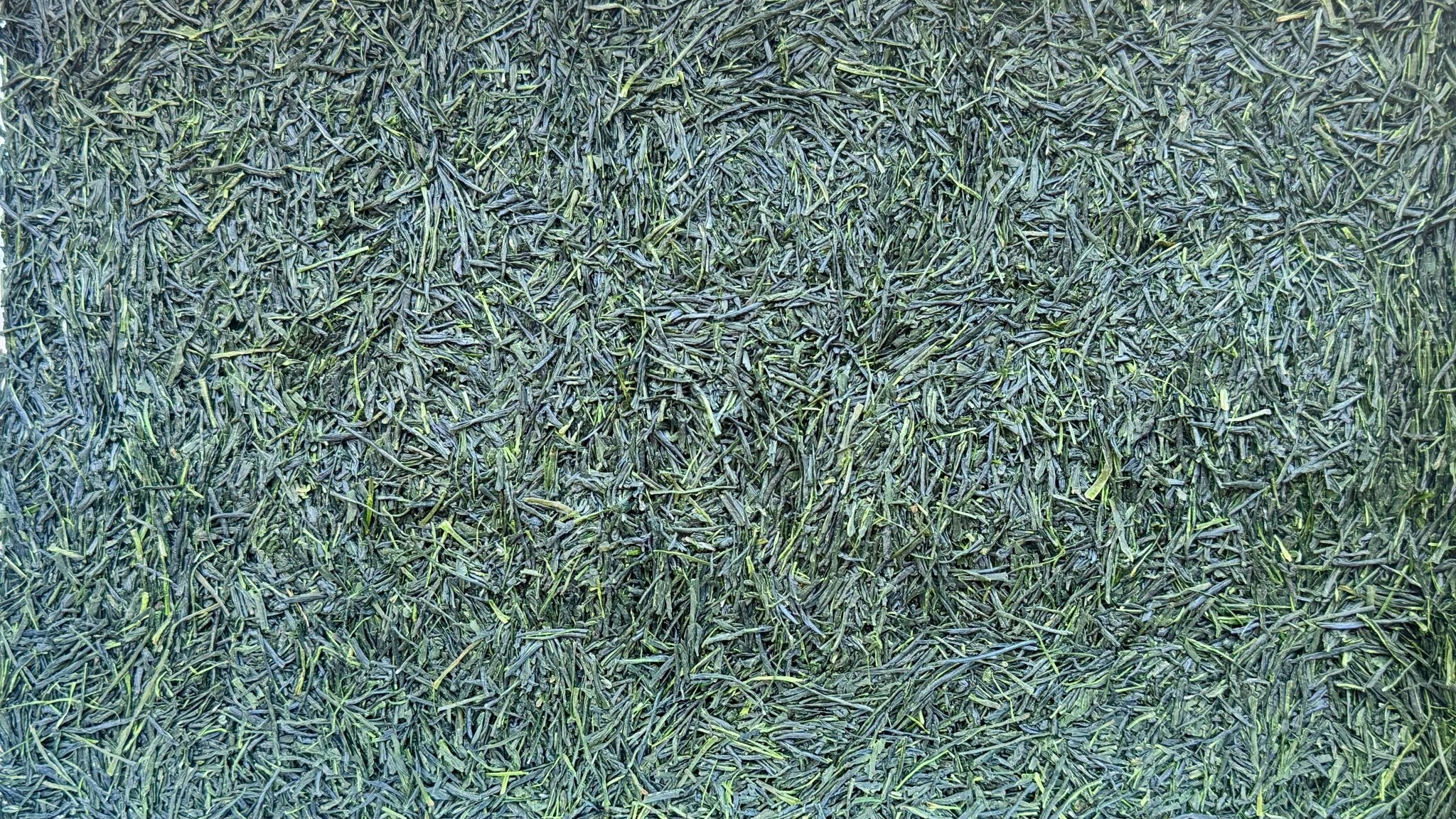 2026 TANEGASHIMA HASHIRI | Yabukita Kabuse - O5 RARE TEA BAR