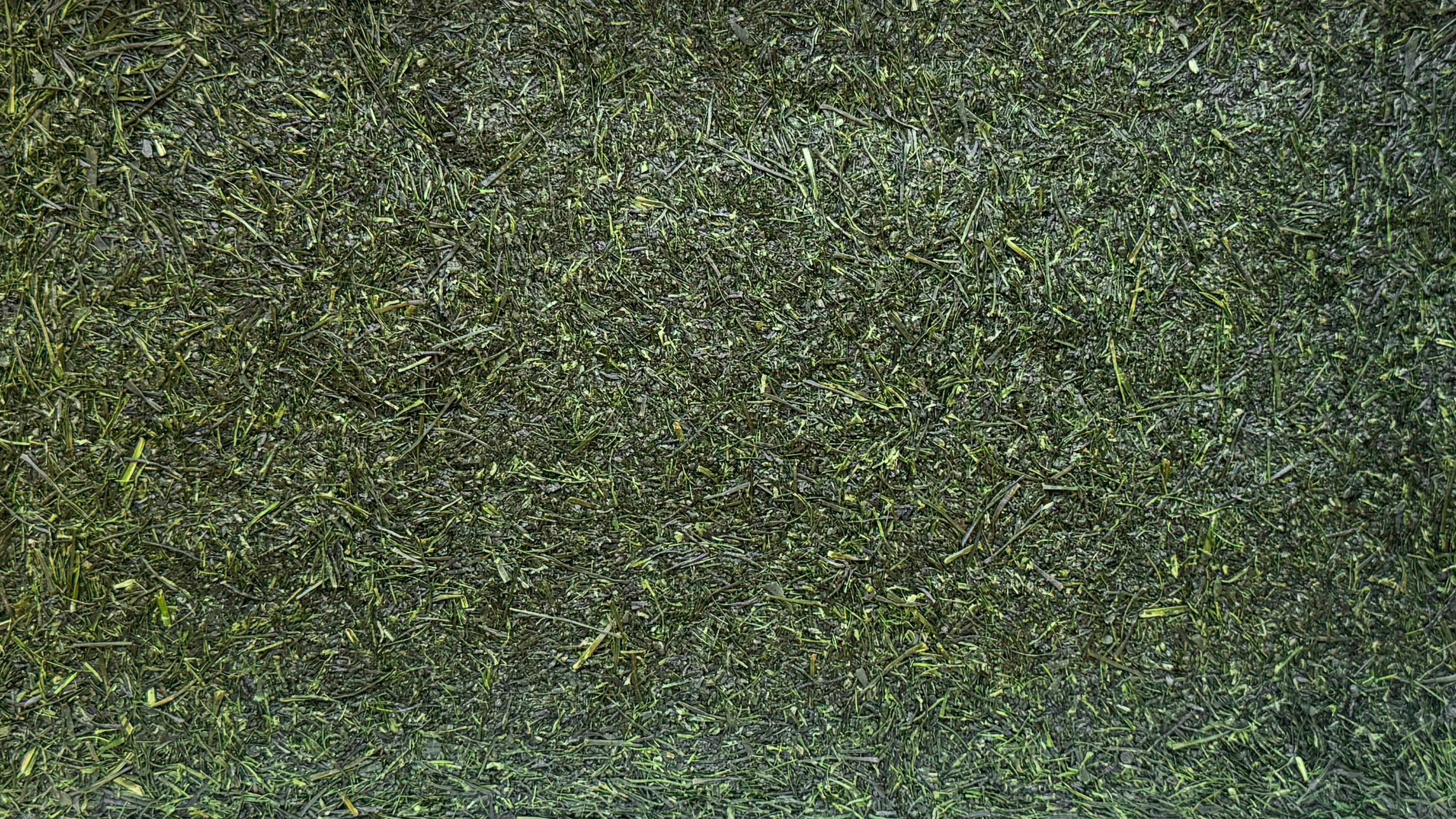 FANTASTIC FUJI | Tsuyuhikari - O-FIVE RARE TEA BAR