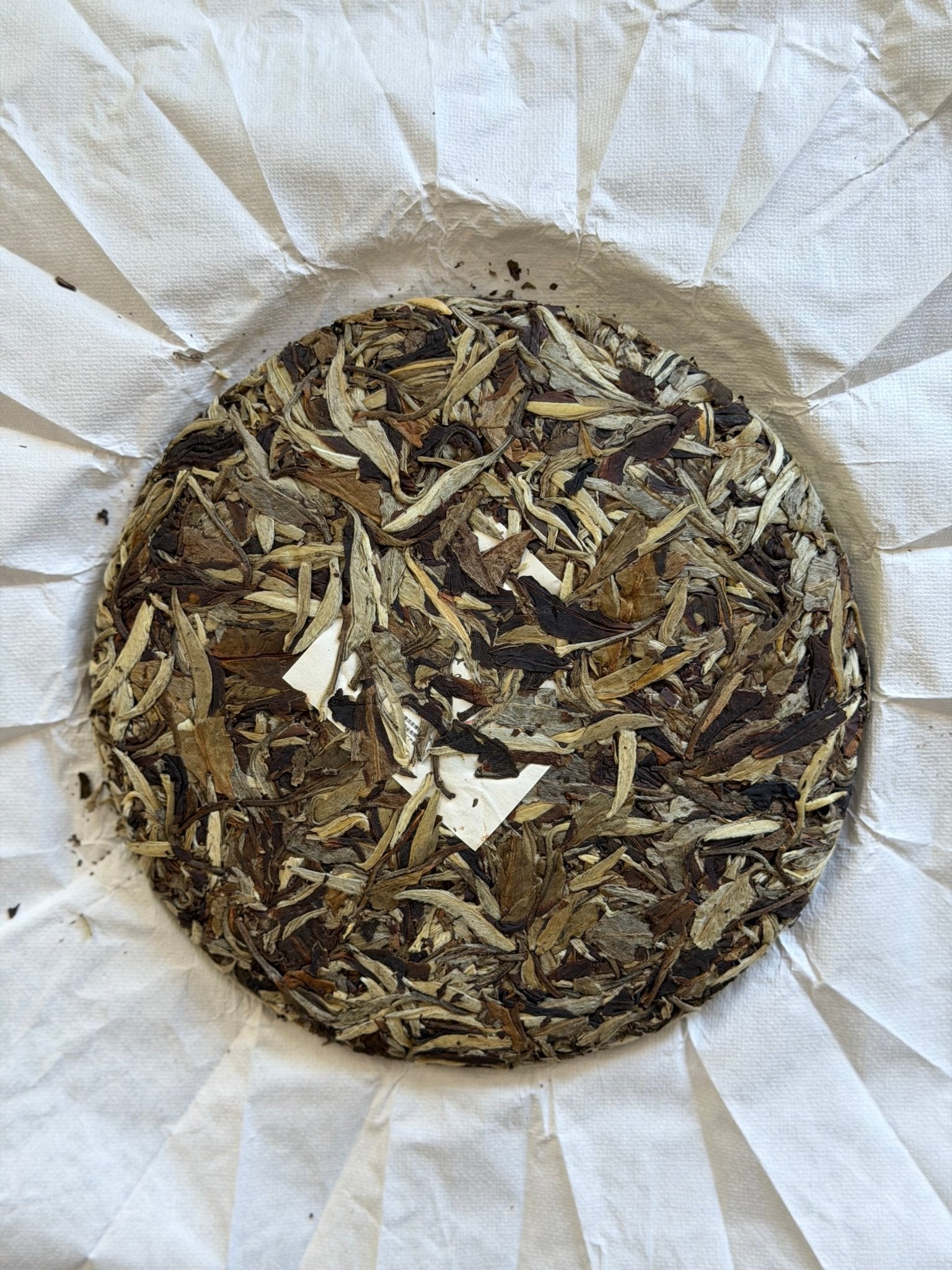 DA YOU, YUNNAN WHITE PEONY | 2023 Ancient Tree White Tea - O5 RARE TEA BAR