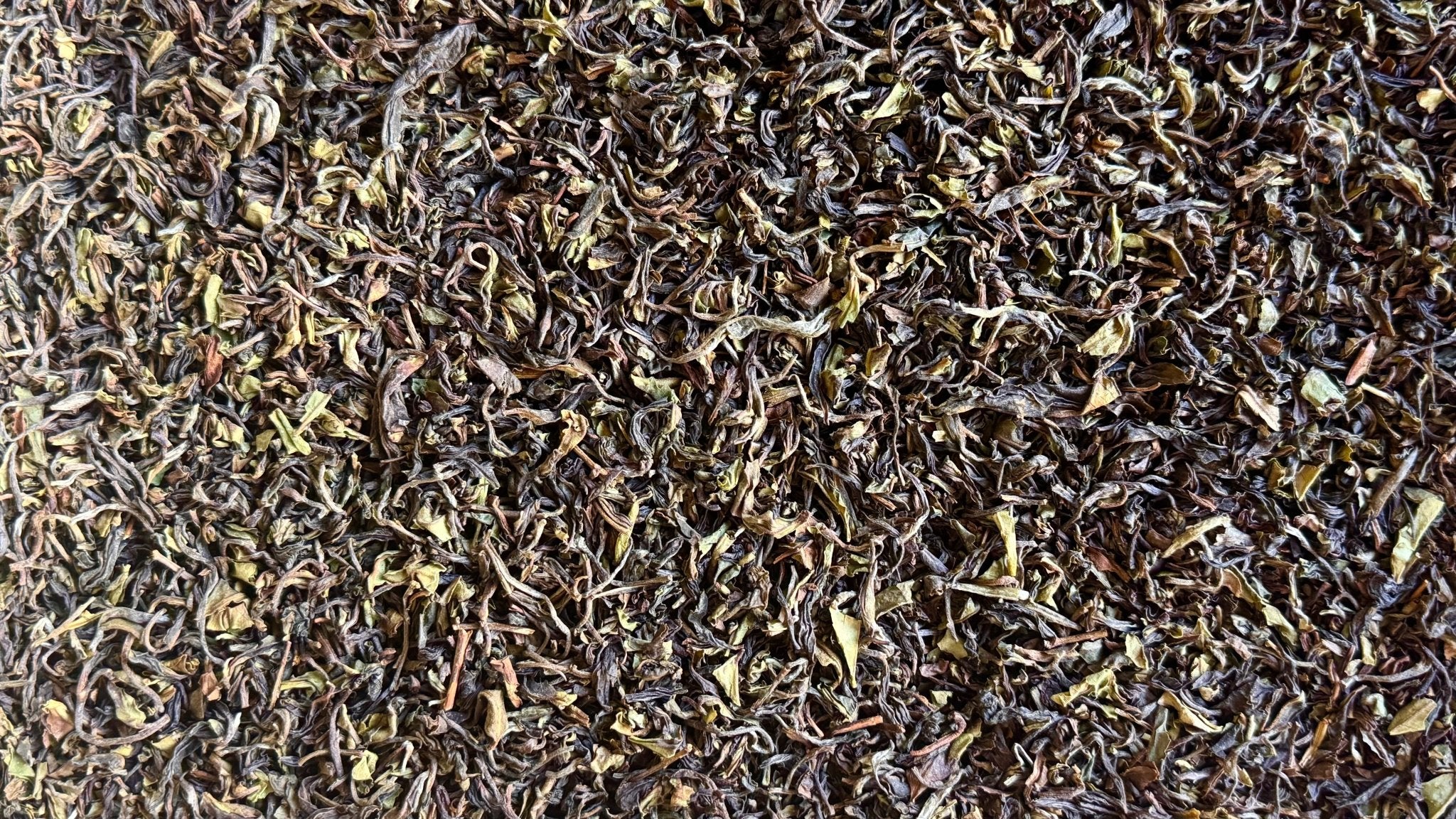 DARJEELING COLLECTION | Select Estates, 2025 First Flush - O5 RARE TEA BAR