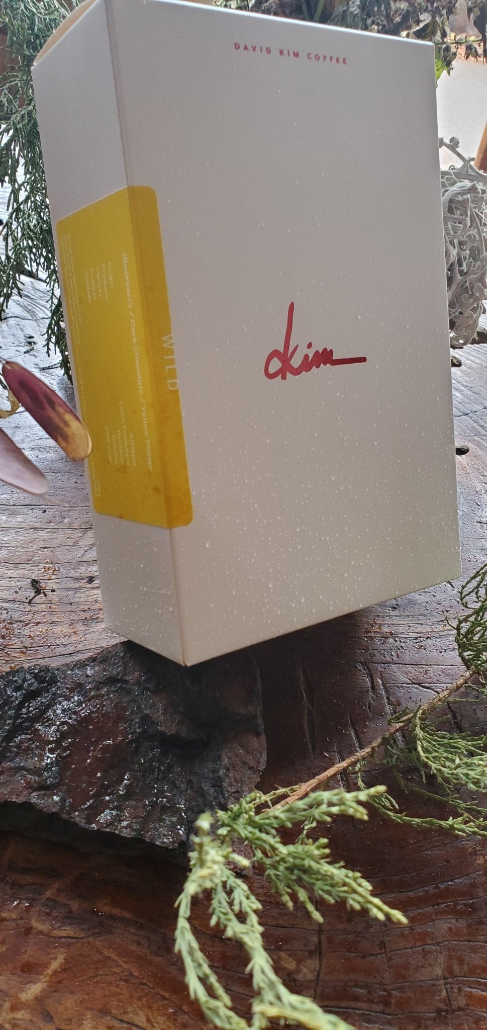 David Kim - WILD - O5 RARE TEA BAR