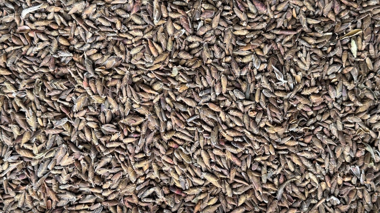 DRAGON CLAWS | Eau de Dragon, by TVL - O - FIVE RARE TEA BAR