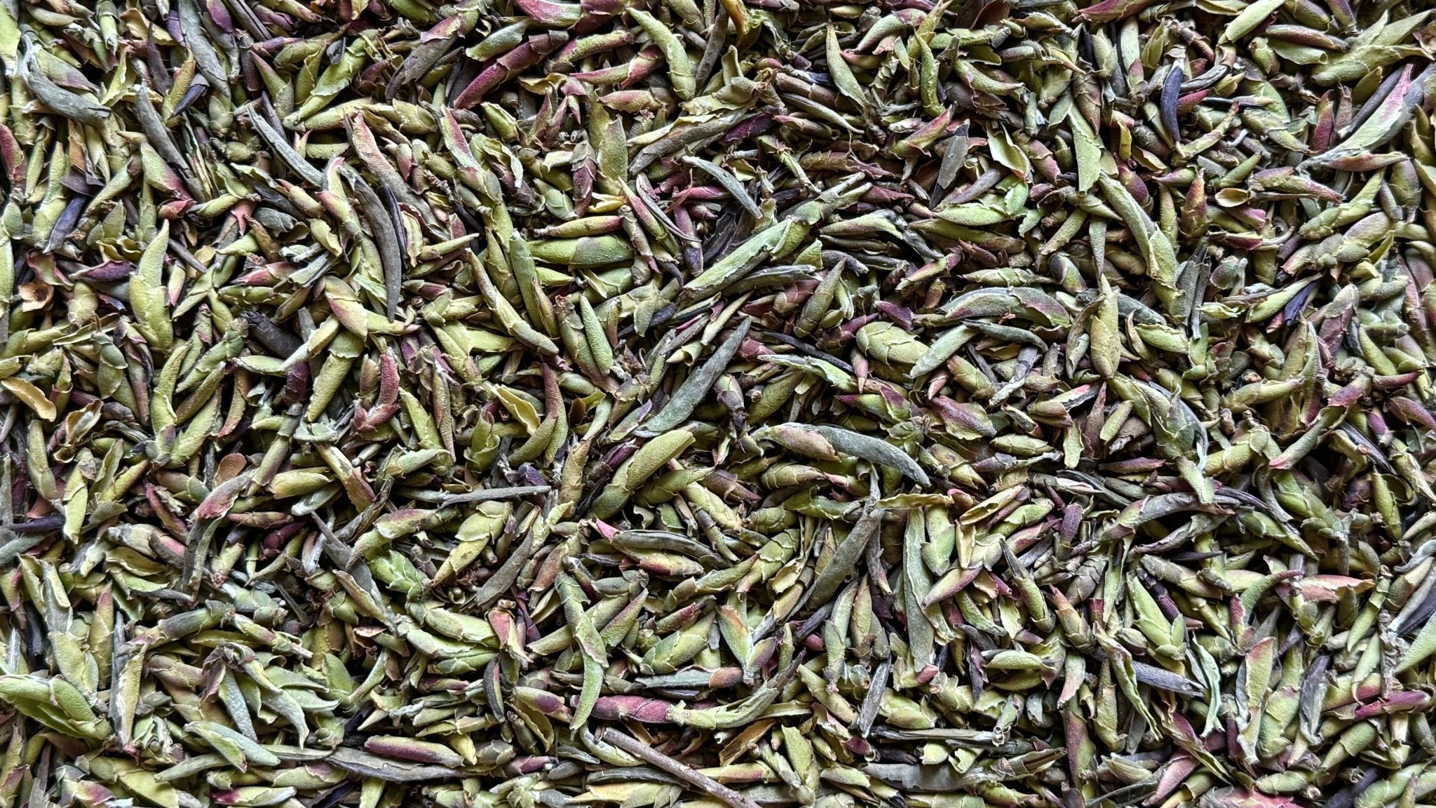 DRAGON CLAWS | Eau de Dragon, by TVL - O5 RARE TEA BAR