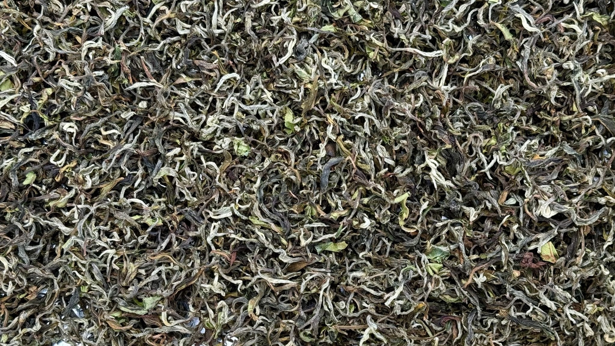 FLORA | ILAM (NEPAL) WHITE TEA - O-FIVE RARE TEA BAR