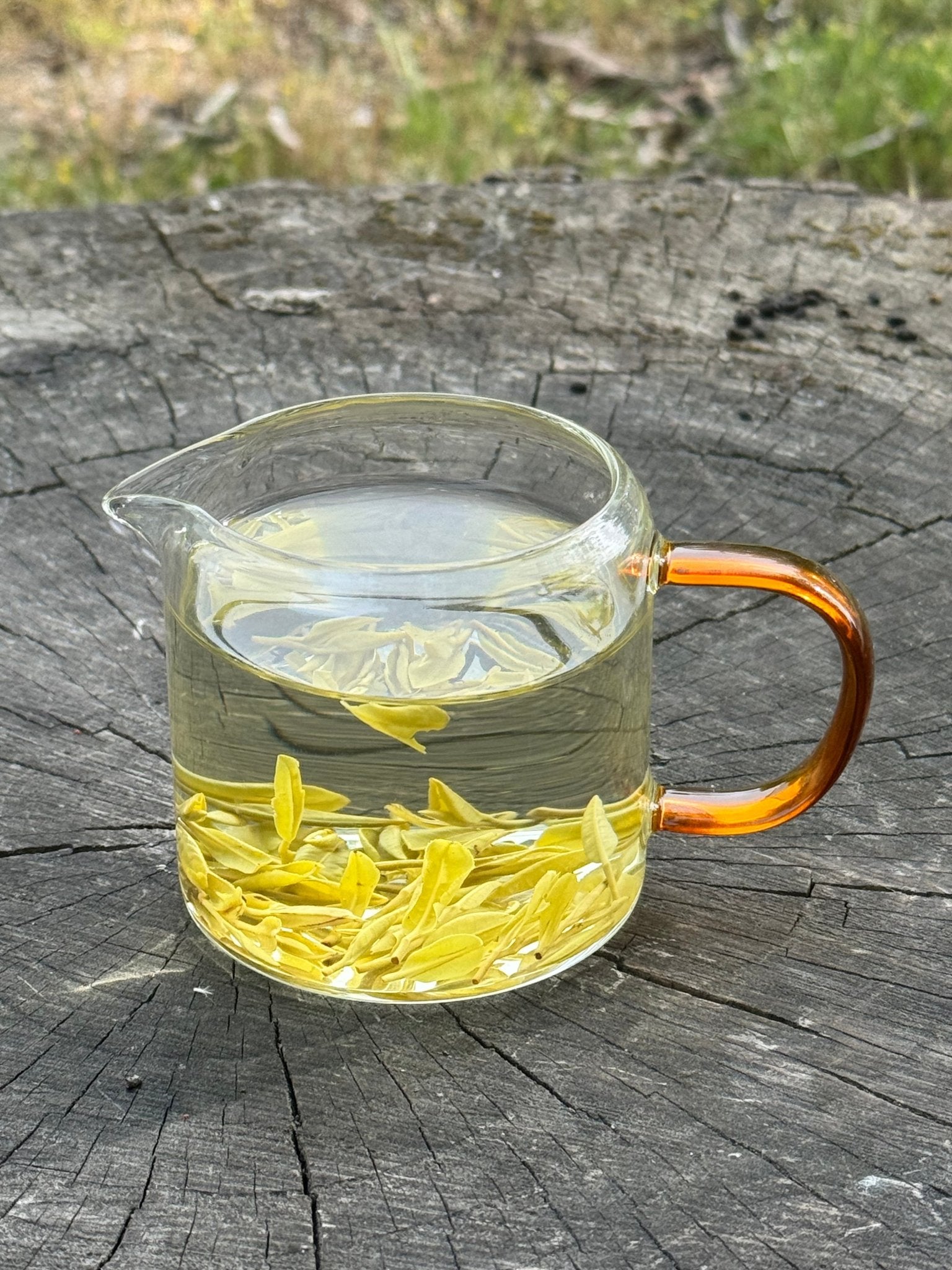 GOLDEN LEAF | Jin Zisun - 2026 - O5 RARE TEA BAR