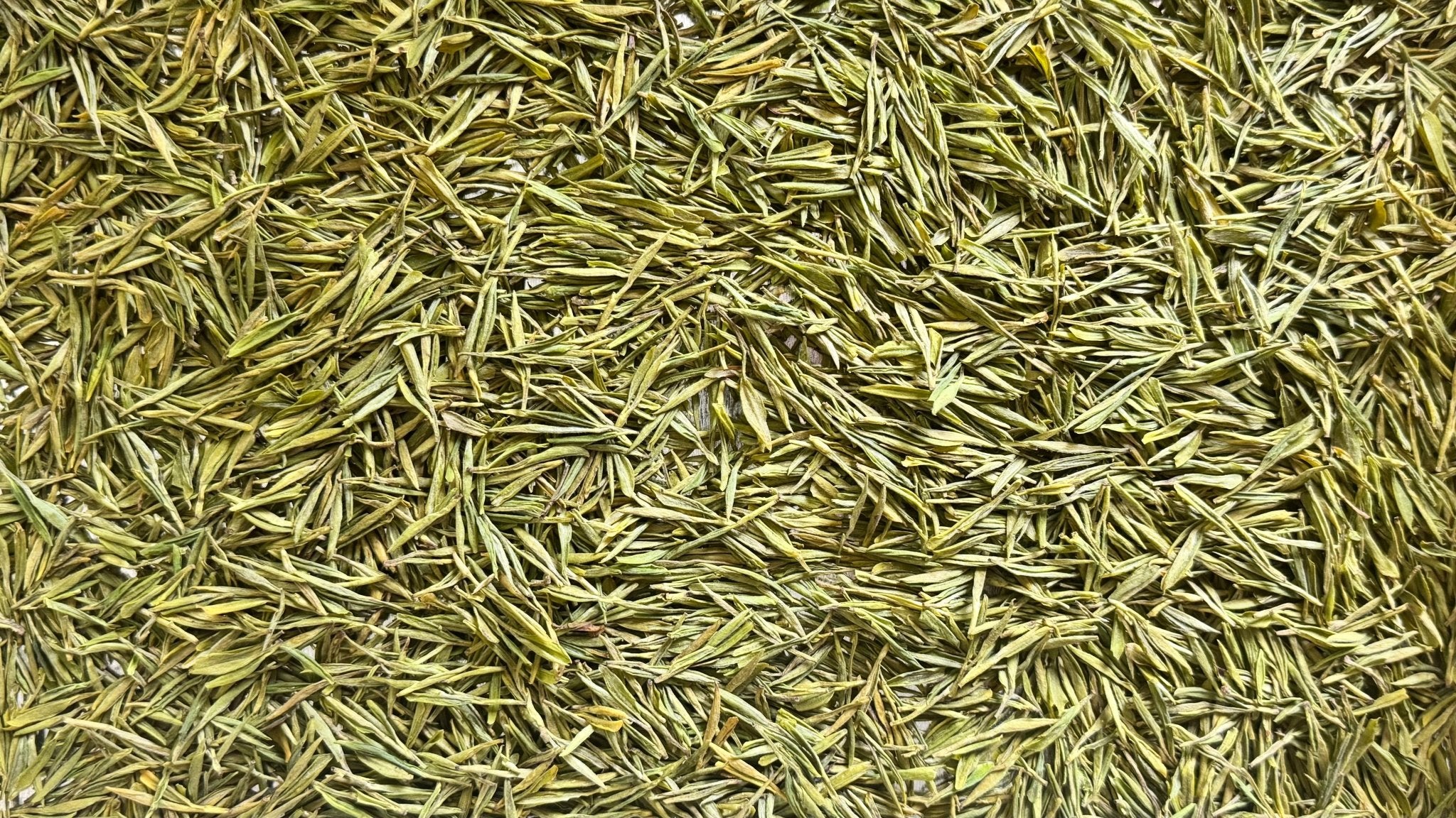 GOLDEN LEAF | Jin Zisun - 2026 - O5 RARE TEA BAR
