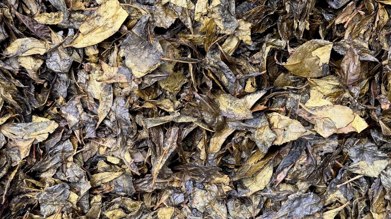 MEANDERING MONK | Kamikatsu Awa Bancha, Anaerobically Fermented - O - FIVE RARE TEA BAR