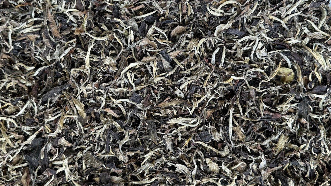 MOONBEAM | SIMAO WHITE MOONLIGHT - O-FIVE RARE TEA BAR