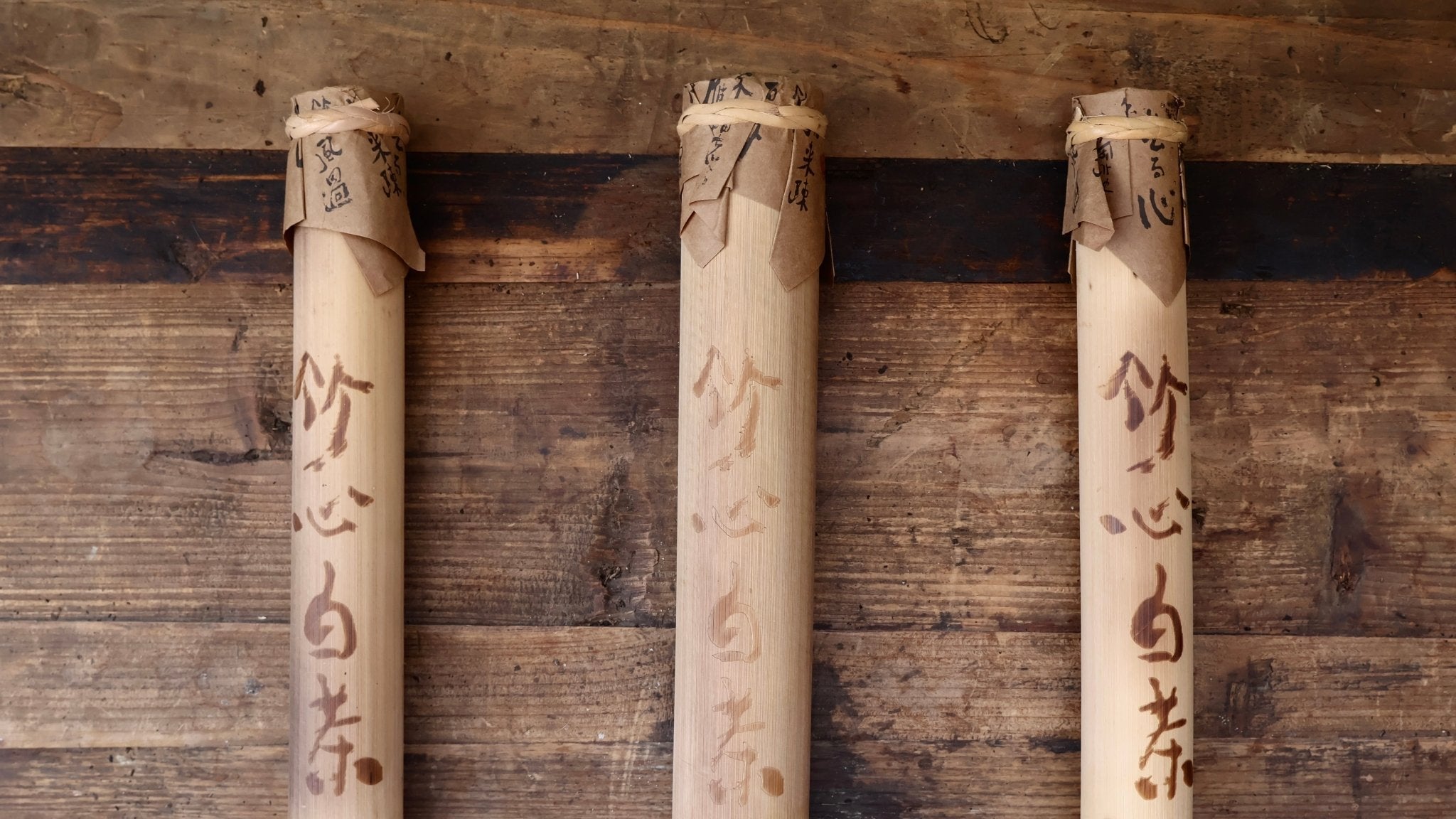 MOONLIT MIST | Bamboo Steamed, Ancient Tree (White) - O5 RARE TEA BAR