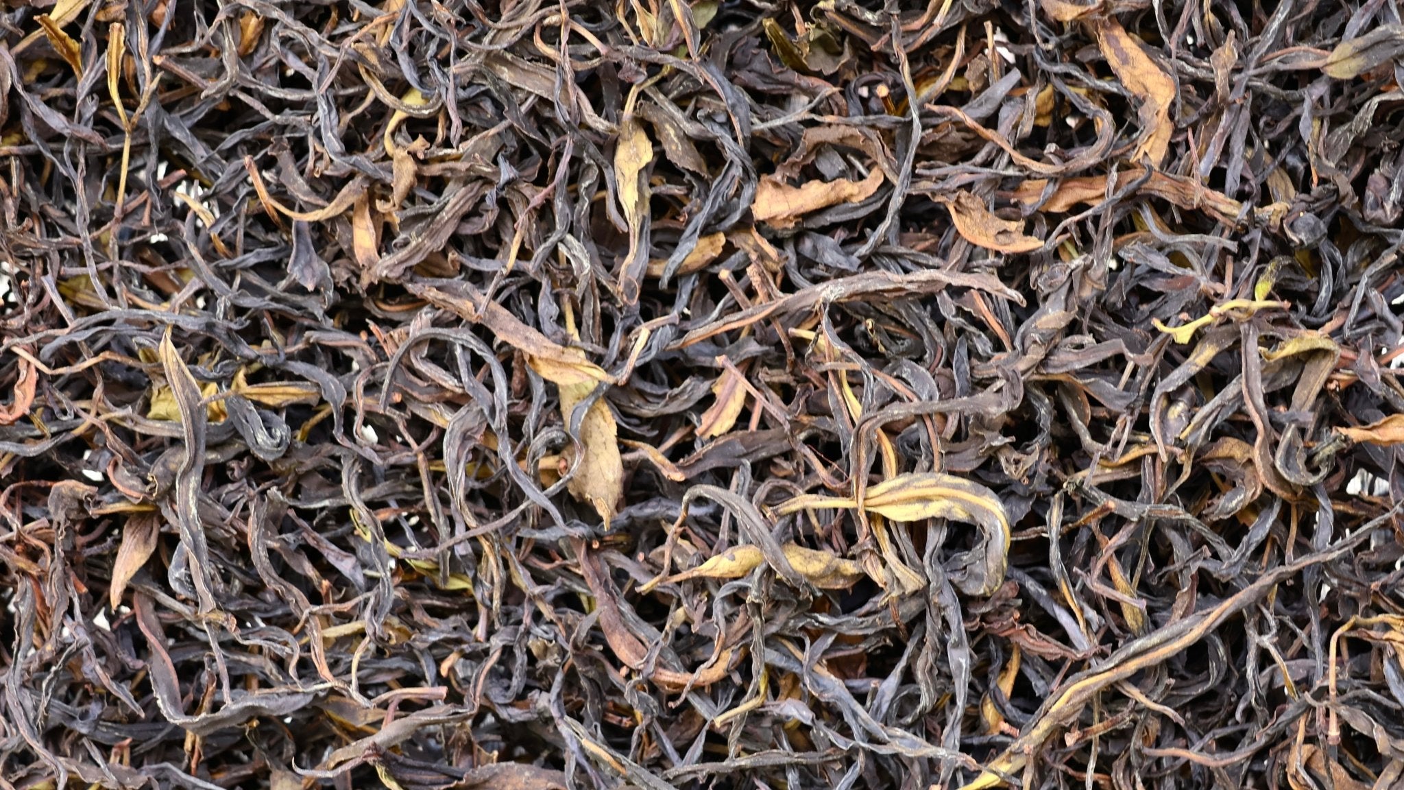 NECTAR | JJW'S 2026 ALI SHAN - O5 RARE TEA BAR