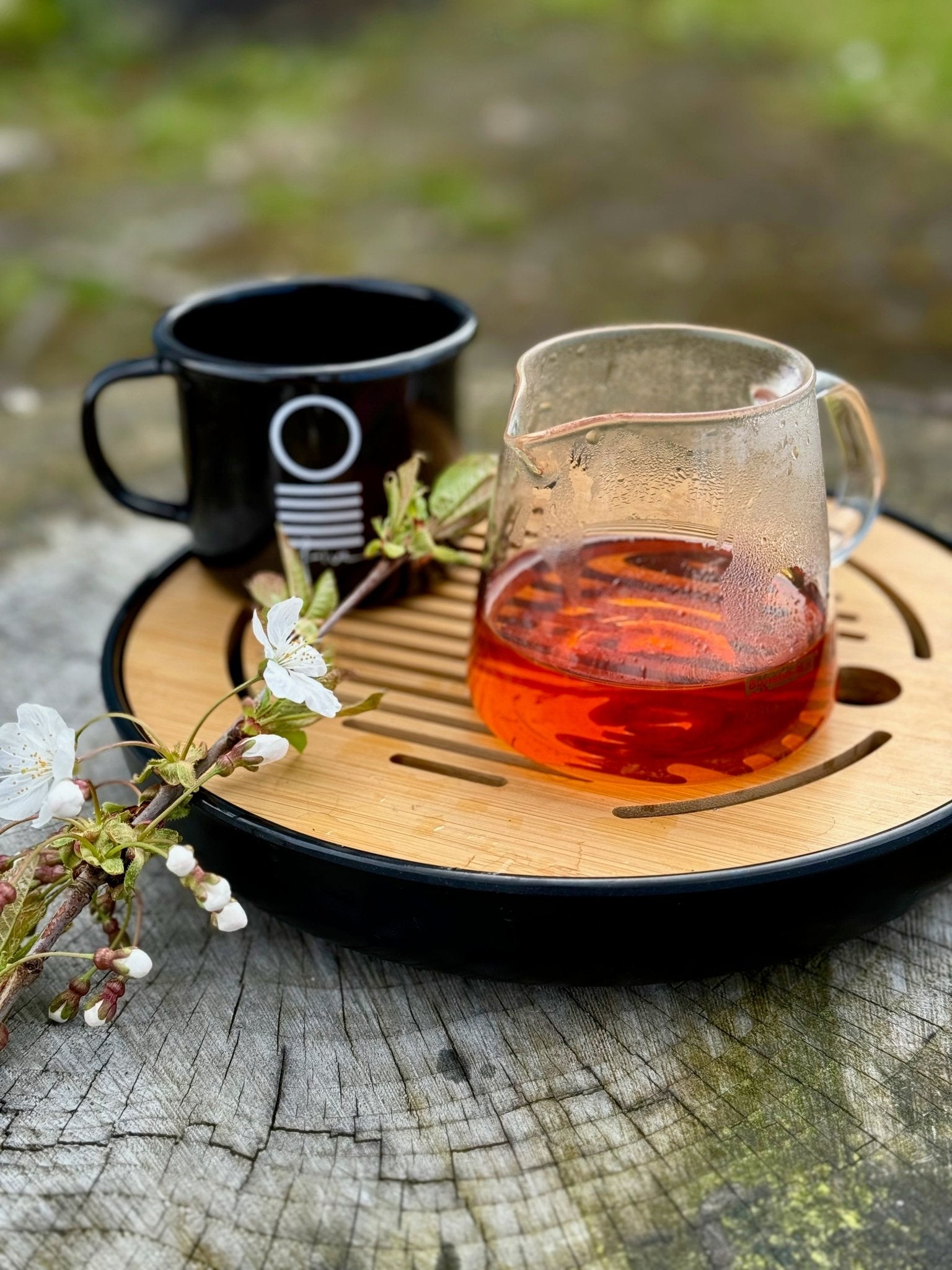 SHERPA | ILAM AUTUMN FLUSH - O-FIVE RARE TEA BAR