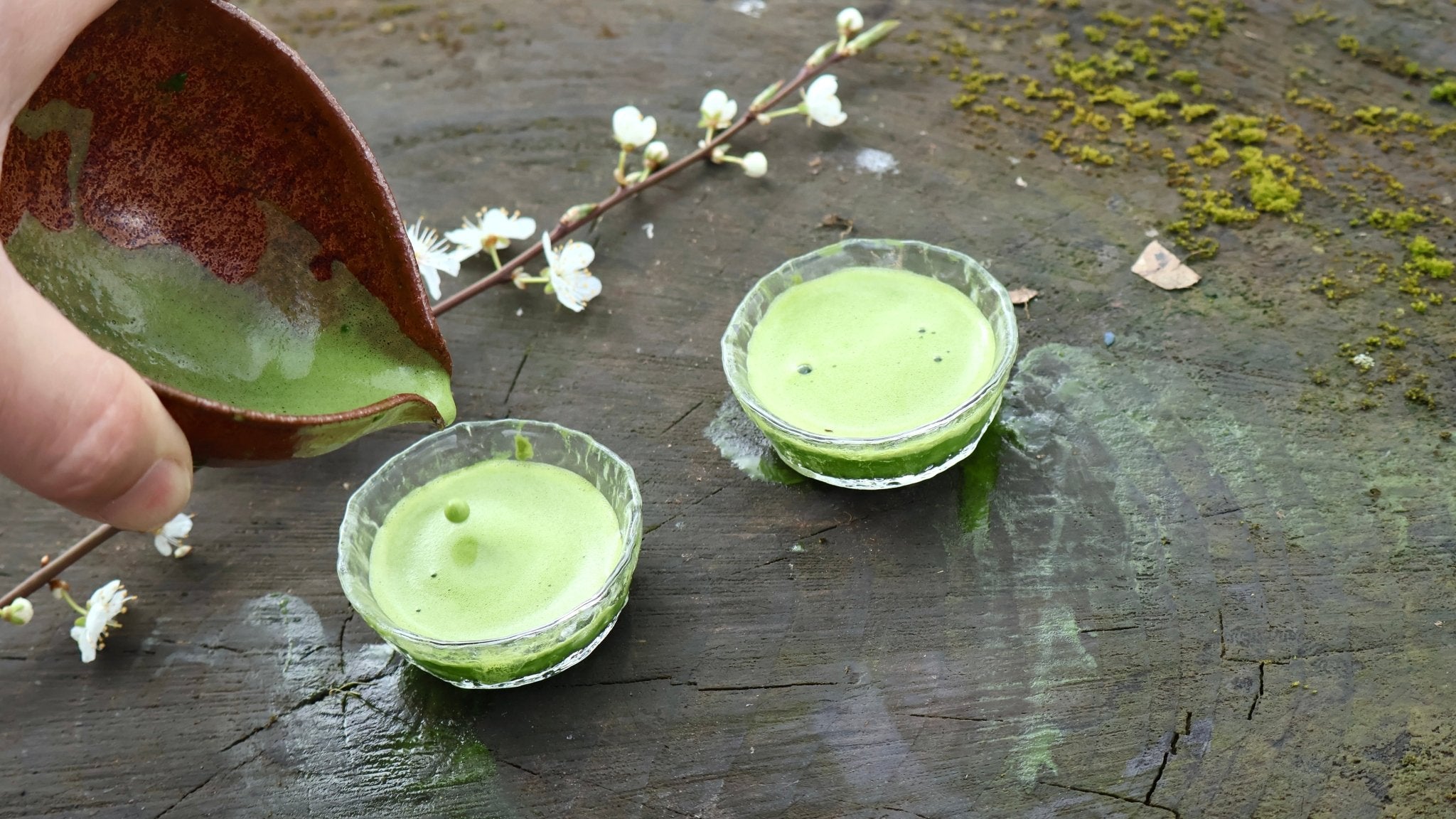 SHIBUSHI W - 25 MATCHA | CAFE EXPERIENCE - O5 RARE TEA BAR