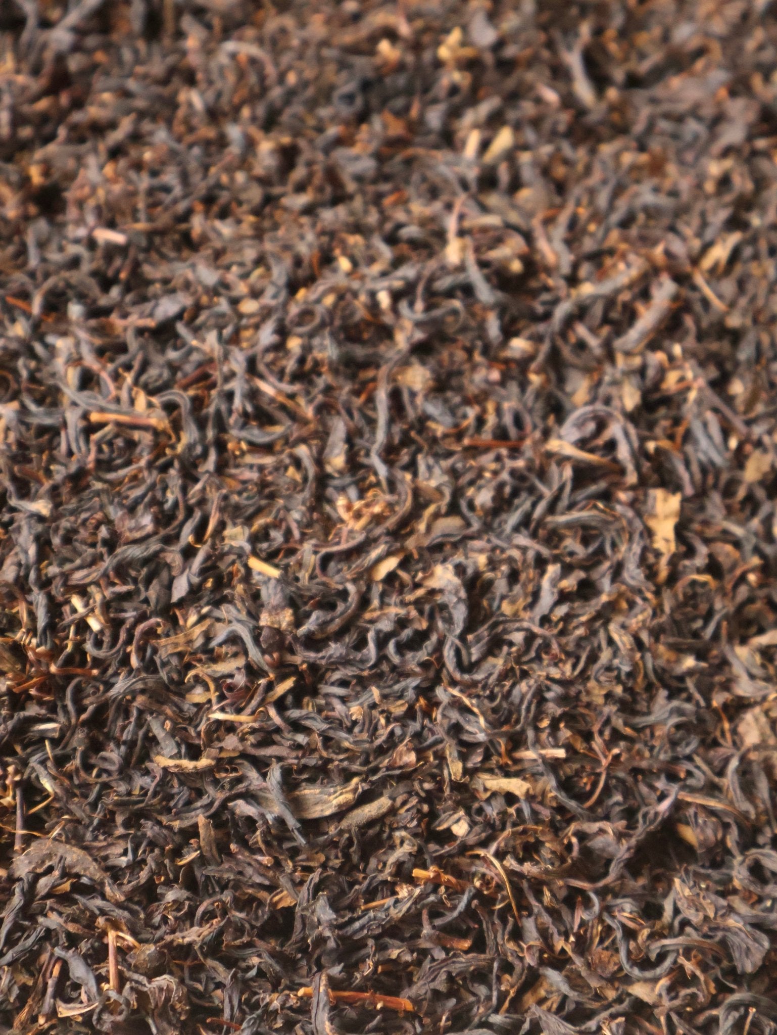 SMOKE - UMIDORI | Whisky Cask Smoked Black Tea - O5 RARE TEA BAR