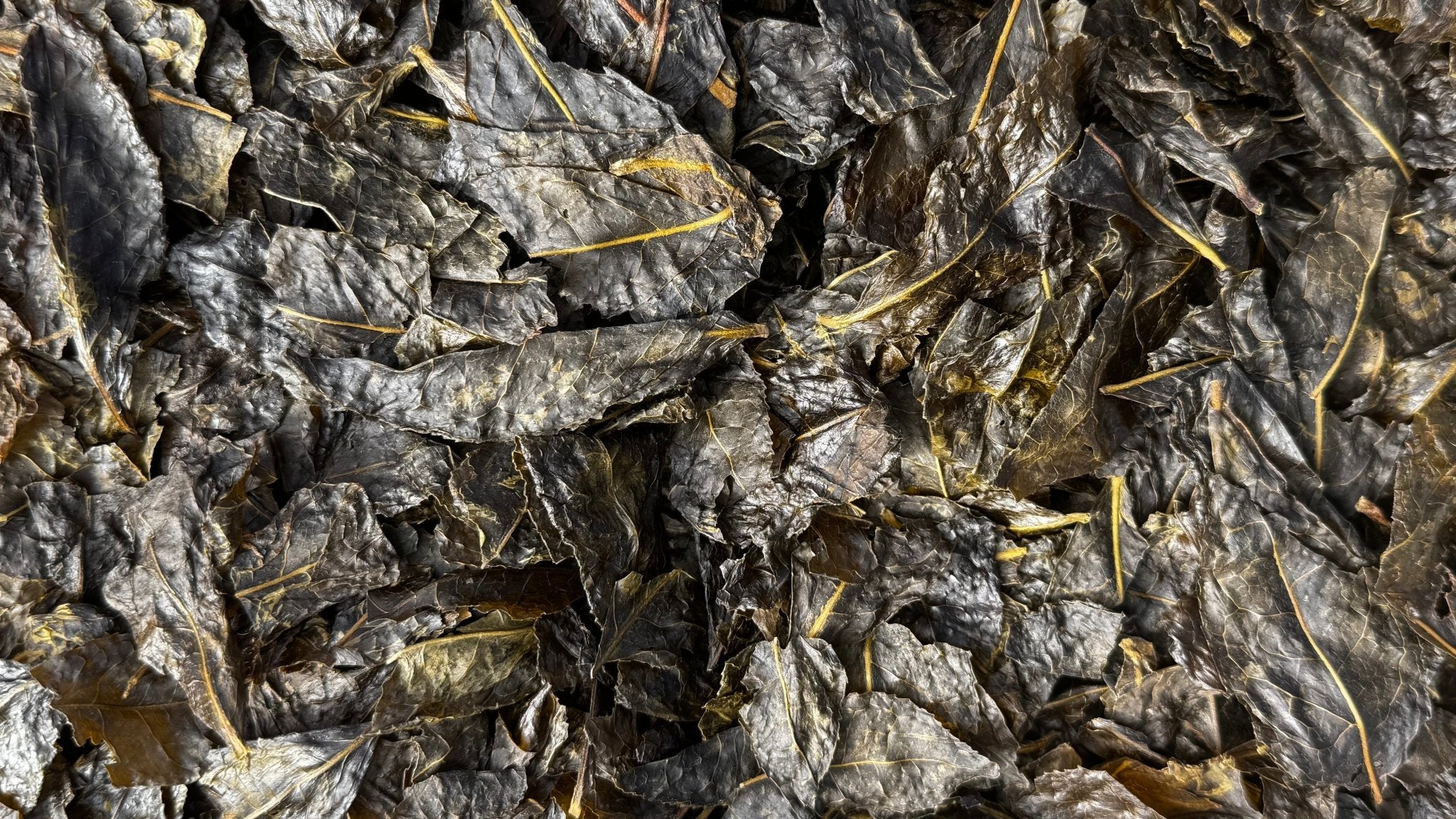 SWEET & SOUR | Anaerobic Fermentation, Autumn - O5 RARE TEA BAR