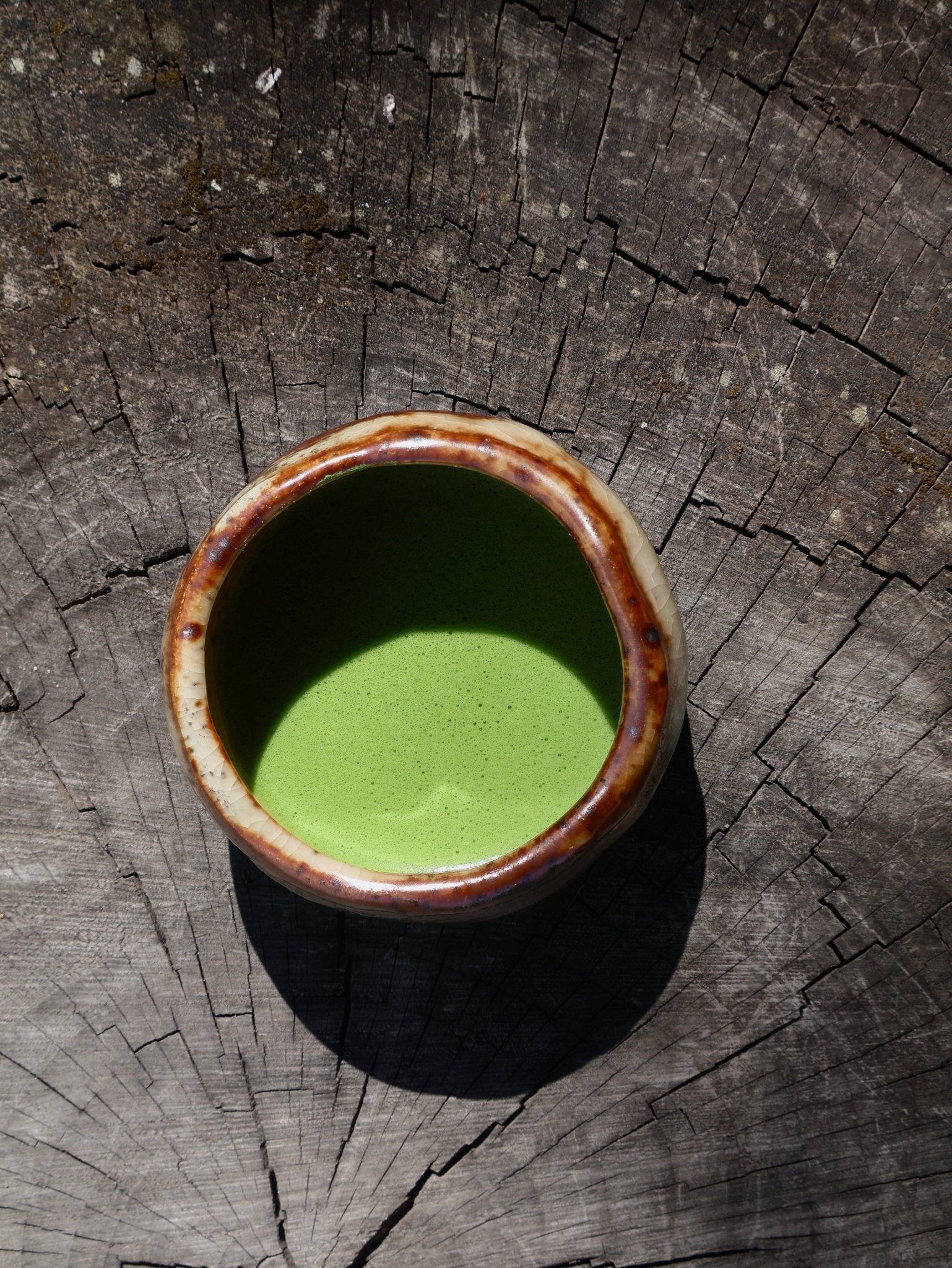 TENRYU TSUYUHIKARI MATCHA | Daily Ceremony, Osada - O5 RARE TEA BAR