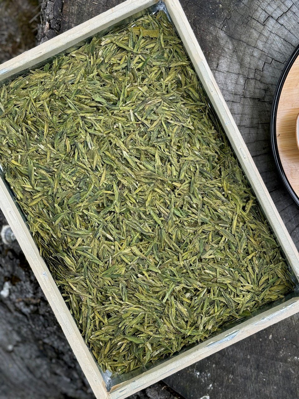 WEN'S HOMETOWN 'LONG JING' | 2024 - O - FIVE RARE TEA BAR