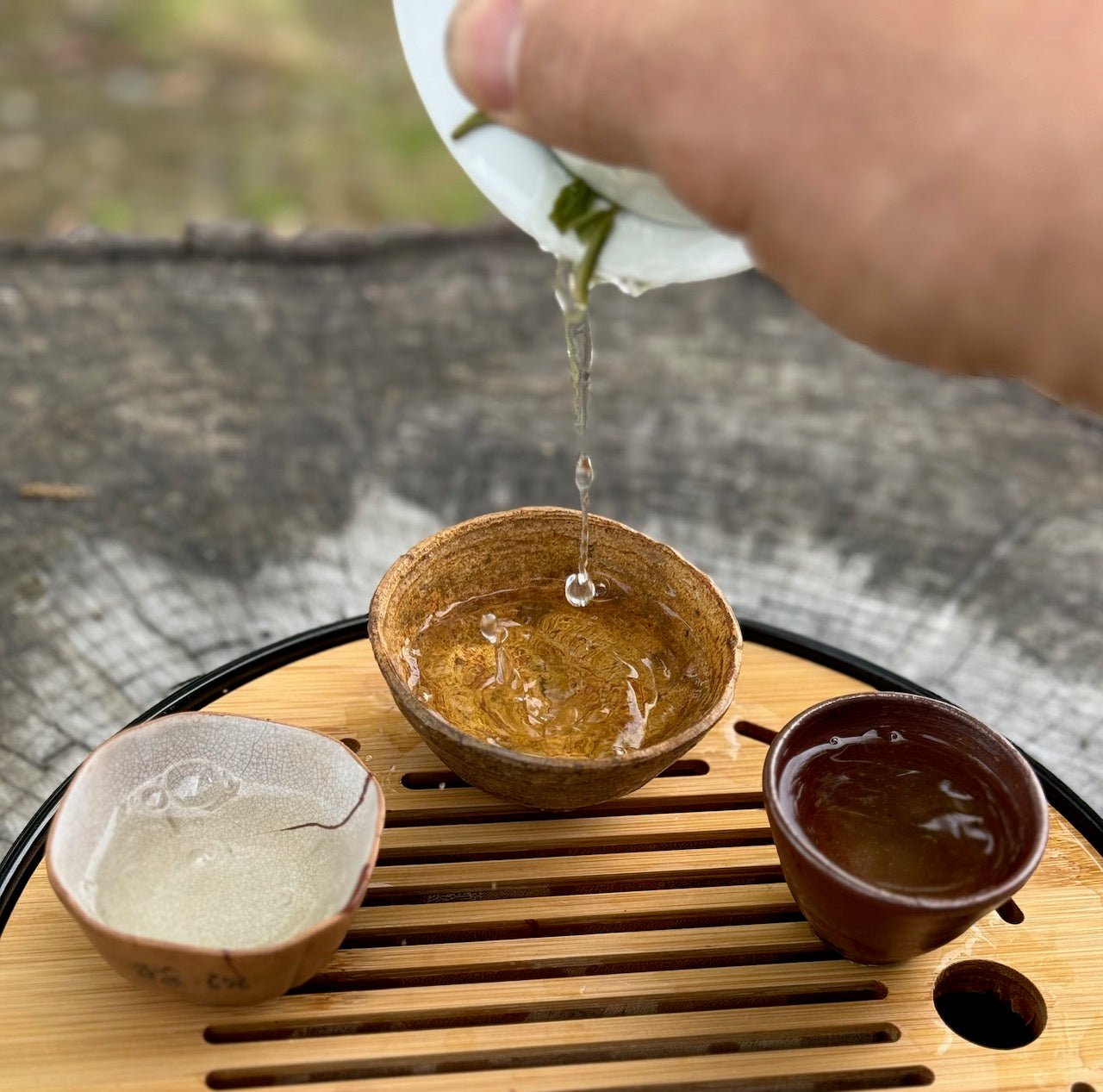WEN'S HOMETOWN 'LONG JING' | 2024 - O - FIVE RARE TEA BAR
