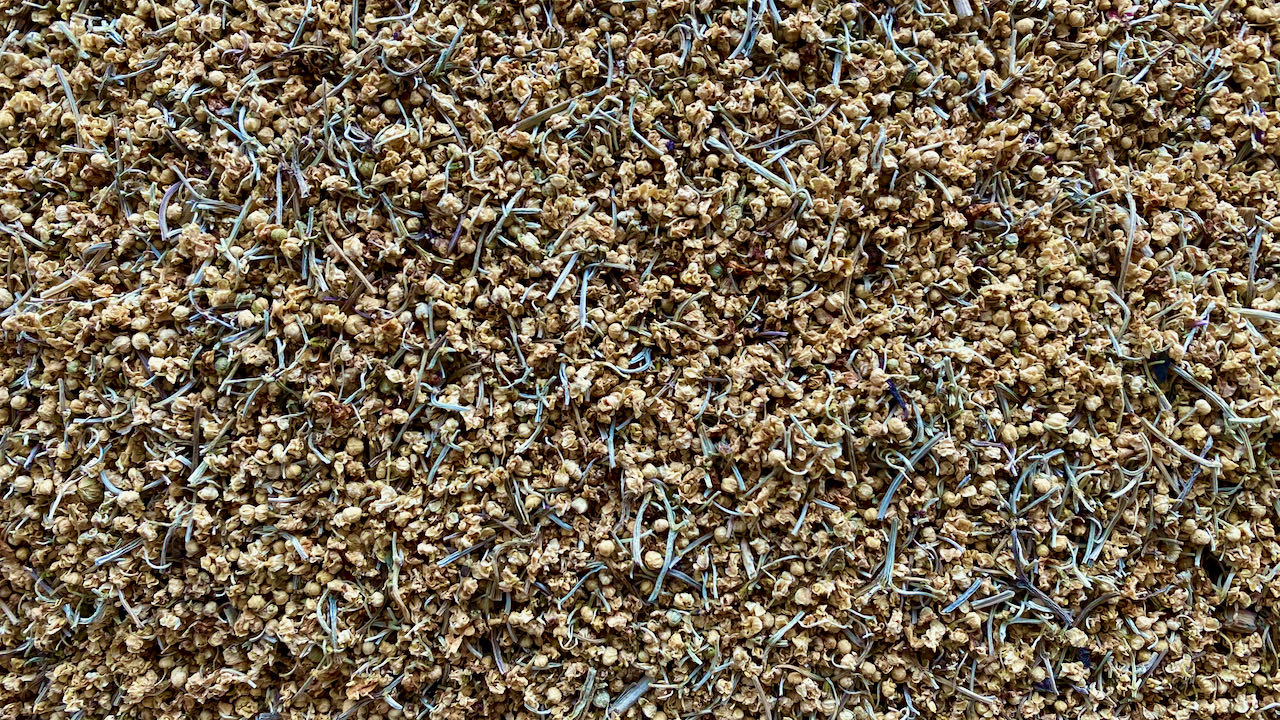 ELDERFLOWERS - ST. BERNARD DE L. - O-FIVE RARE TEA BAR