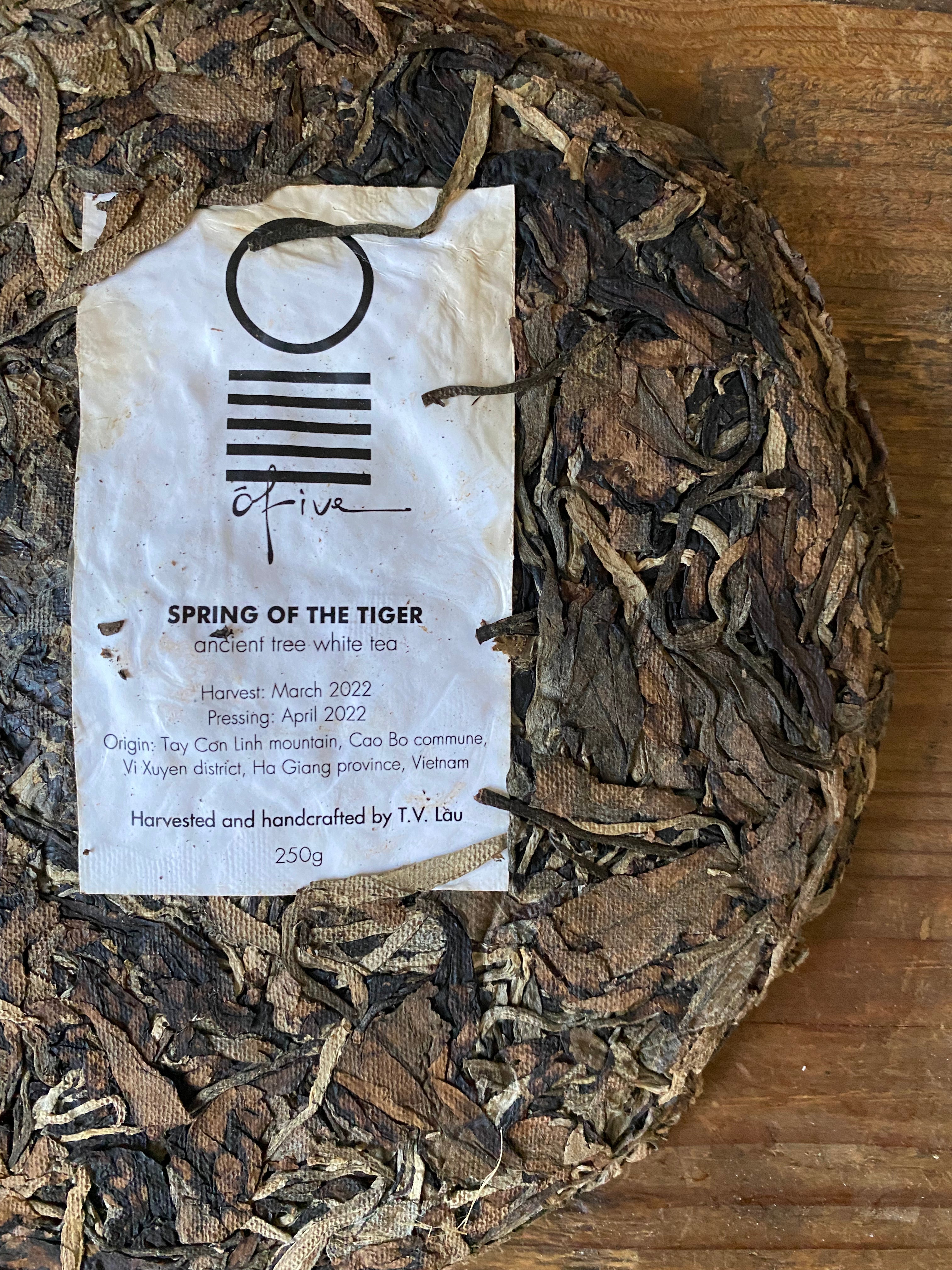 SPRING OF THE TIGER | WHITE TEA 250g - O-FIVE RARE TEA BAR