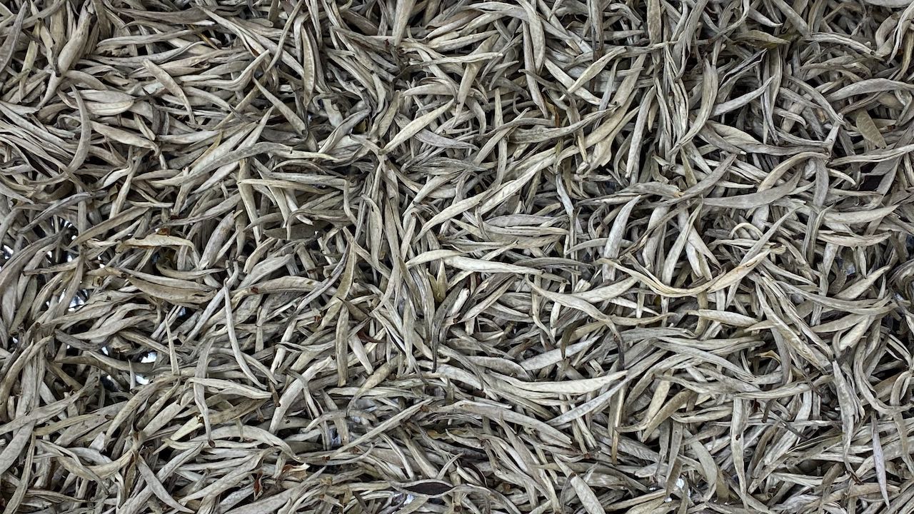 BAILEY'S SILVER NEEDLES | OLD TREE, VIETNAM - O-FIVE RARE TEA BAR