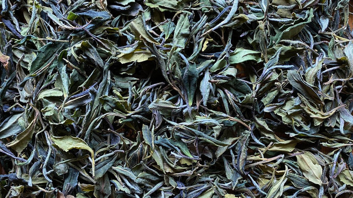 Georgian Wild White Tea - O-FIVE RARE TEA BAR