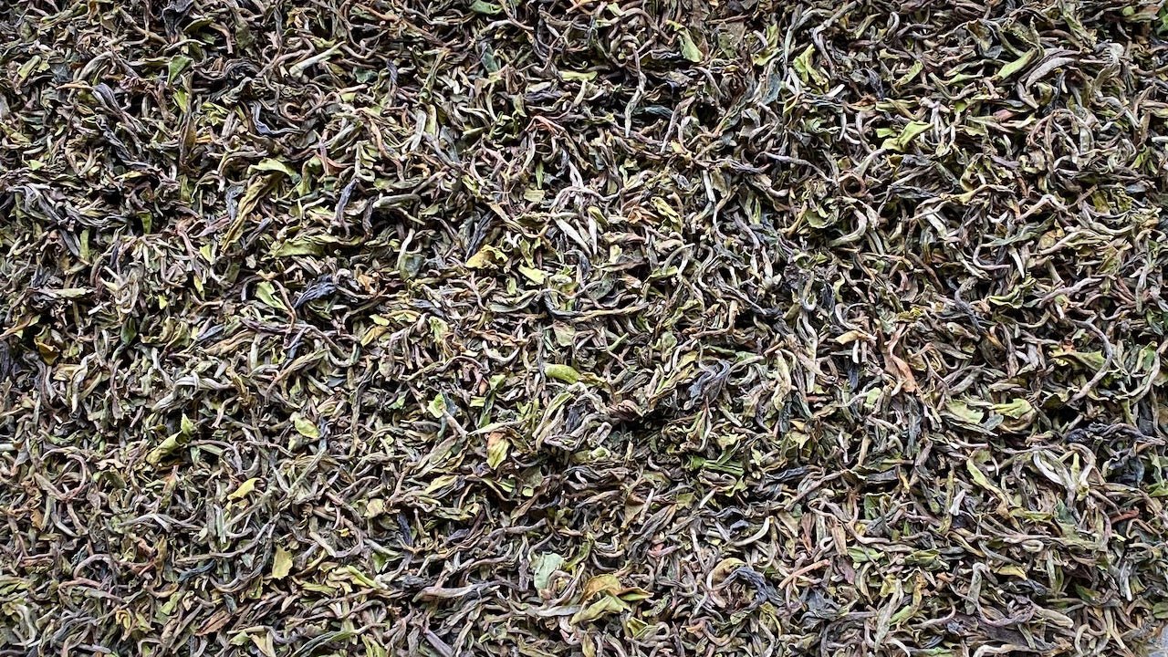 GIDDAPAHAR EARLY LE | FIRST FLUSH, 2023 - O-FIVE RARE TEA BAR