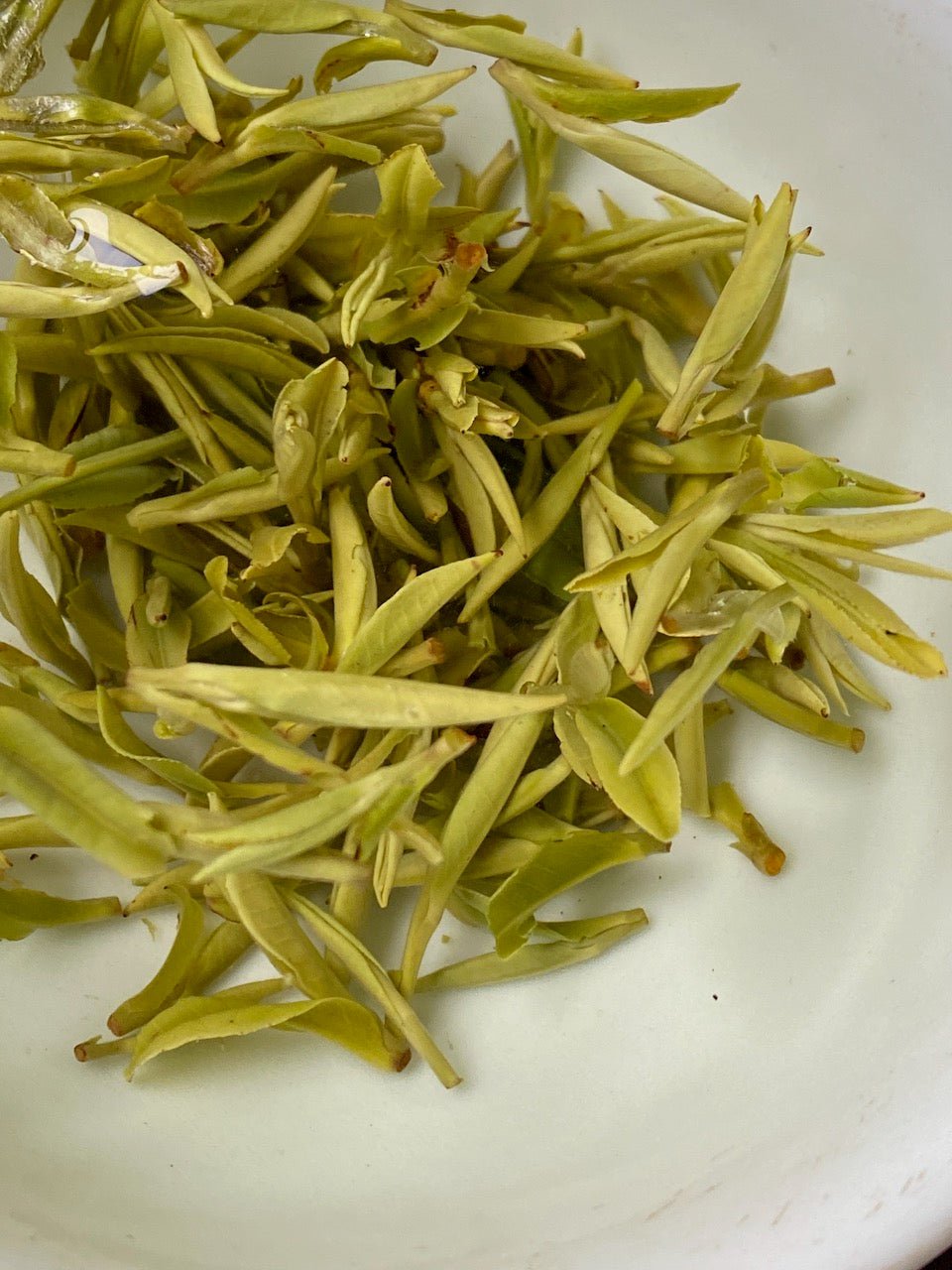 HUANG SHAN MAO FENG | 2023 VERY EARLY PLUCK - O-FIVE RARE TEA BAR