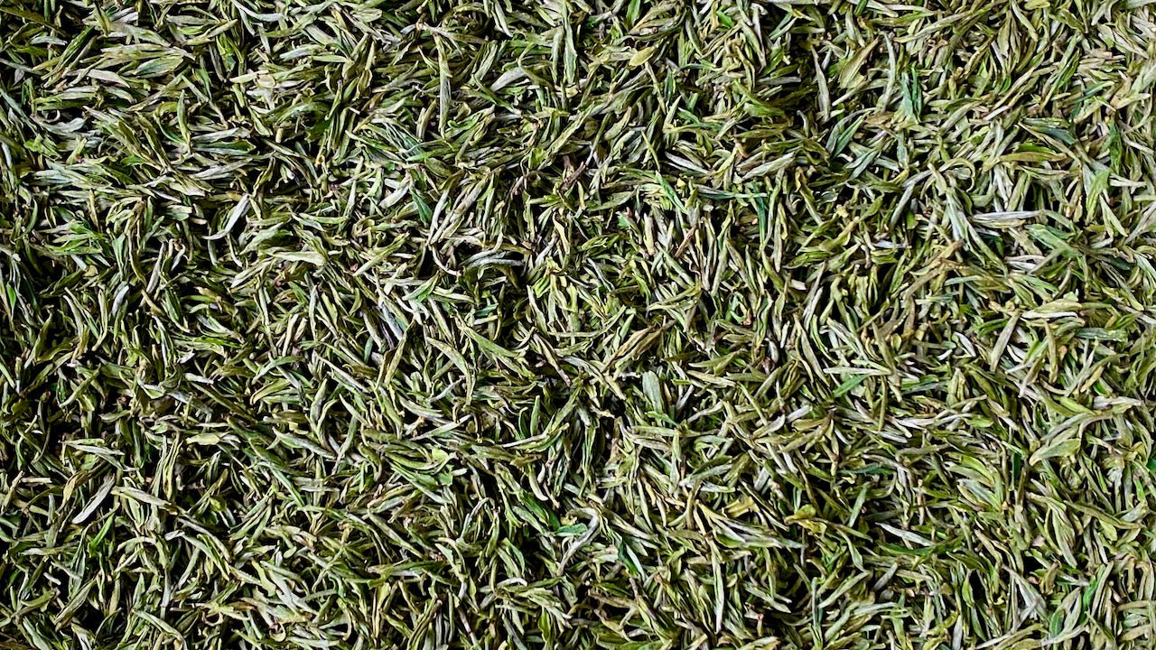 HUANG SHAN MAO FENG | 2023 VERY EARLY PLUCK - O-FIVE RARE TEA BAR