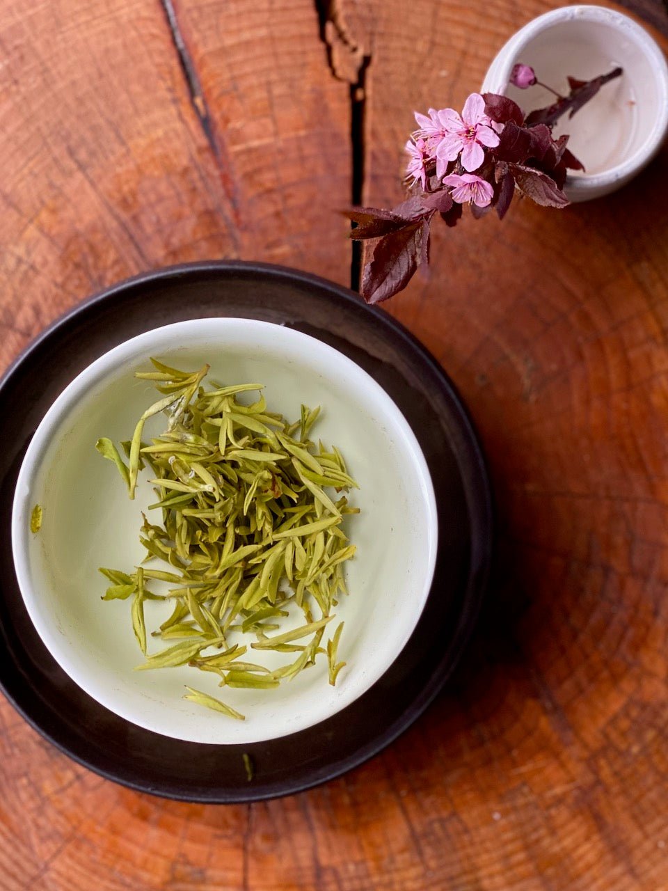 HUANG SHAN MAO FENG | 2023 VERY EARLY PLUCK - O-FIVE RARE TEA BAR