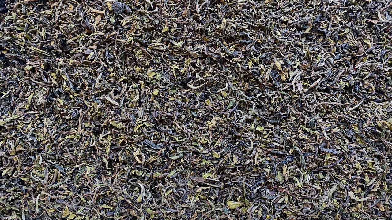 JUNGPANA, LE #2 | FIRST FLUSH 2023 - O-FIVE RARE TEA BAR