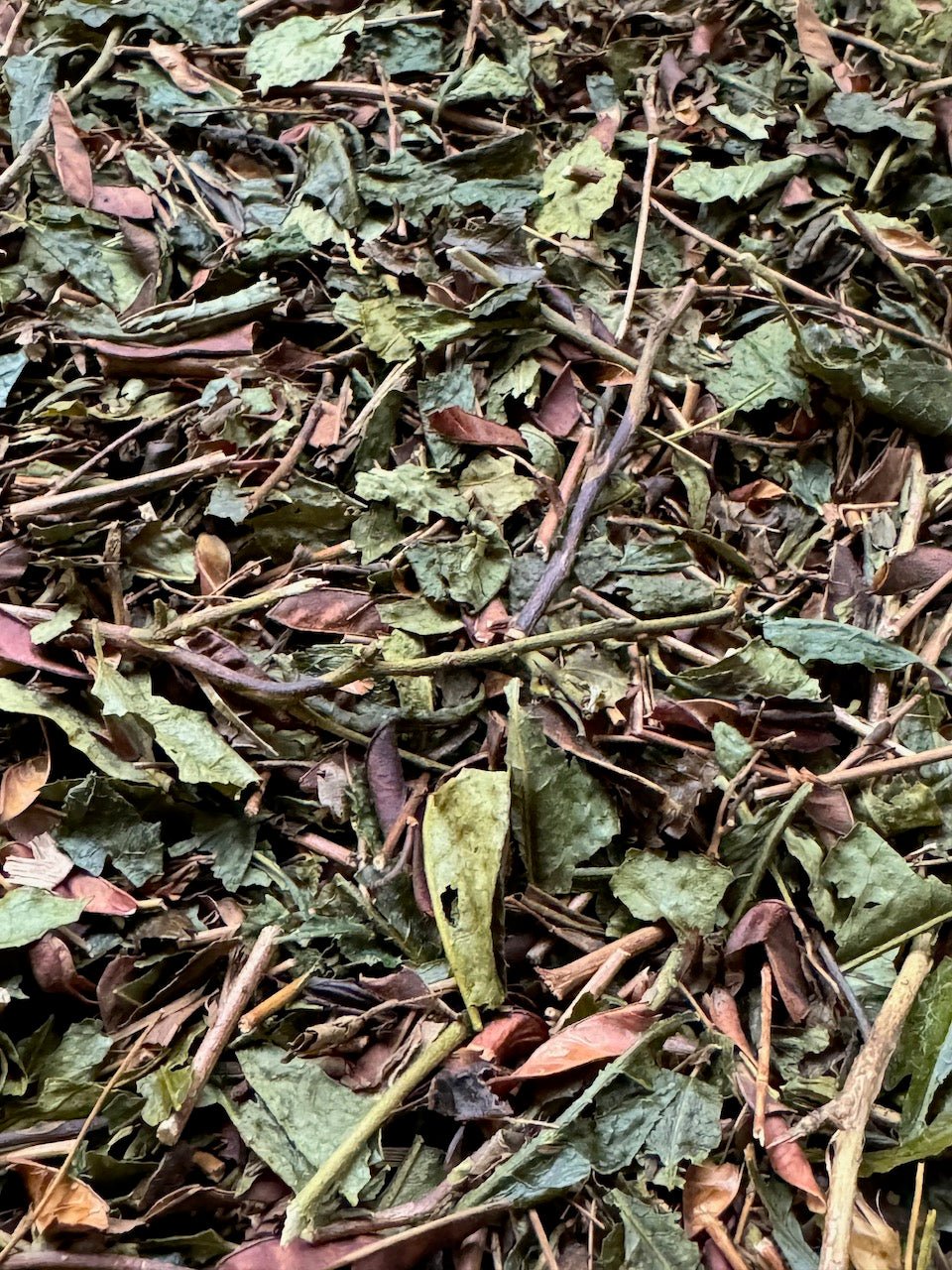 LAND OF THE GODS | IZUMO FOLK BANCHA - O-FIVE RARE TEA BAR