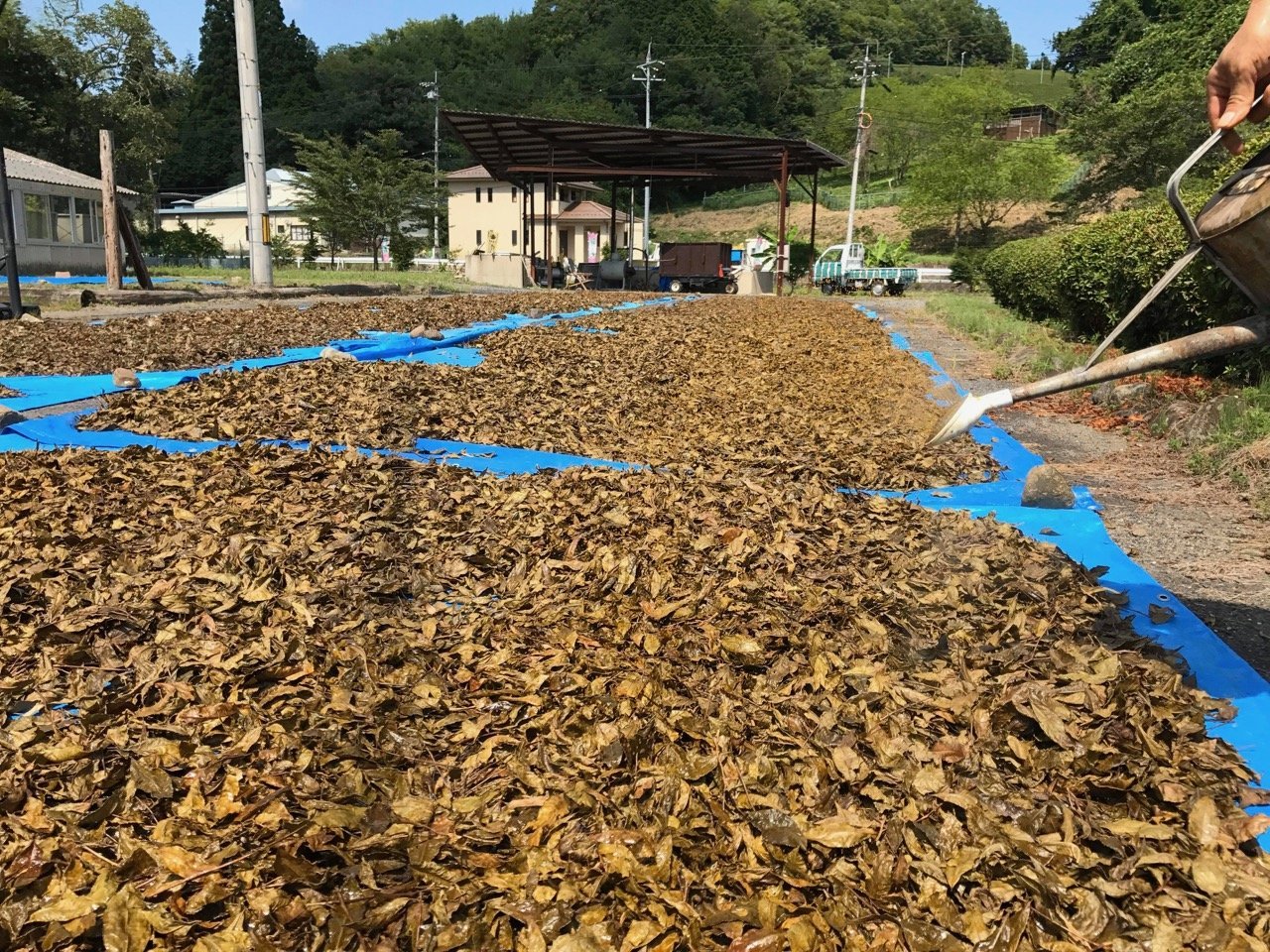 MUSASHI'S BANCHA - O-FIVE RARE TEA BAR