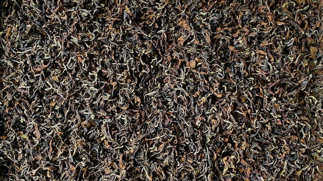 ORIENTAL BEAUTY | Leafhopper Special - O-FIVE RARE TEA BAR