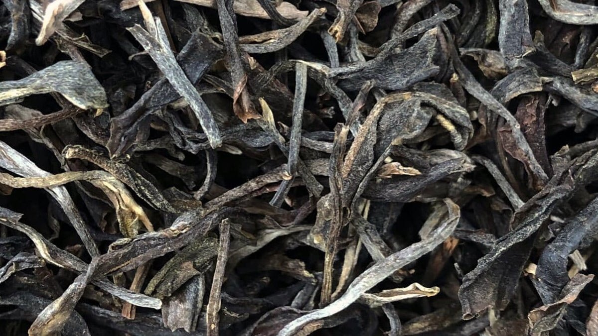 PHONGSALY OLD TREE (NOT) PU ER | 2016 - O5 RARE TEA BAR