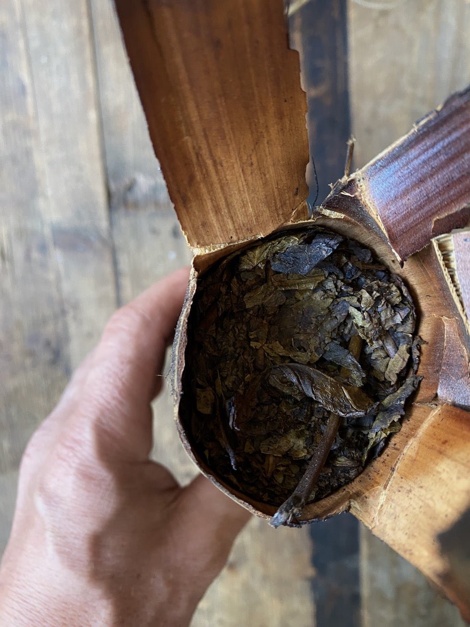 SINGPHO FALAP 2020 | Bamboo Aged, Smoked Assam - O-FIVE RARE TEA BAR