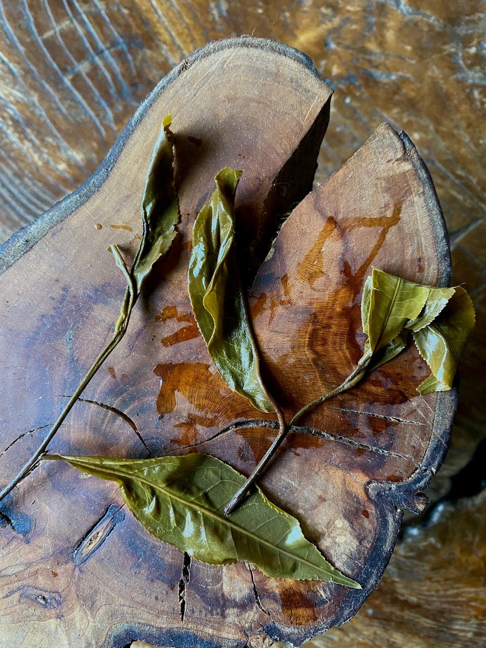 TRA BO | Vietnamese Ethnic Sun Dried Tea - O-FIVE RARE TEA BAR