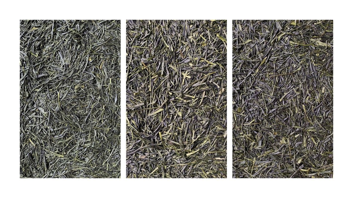 Wazuka Tasting Flight - O-FIVE RARE TEA BAR