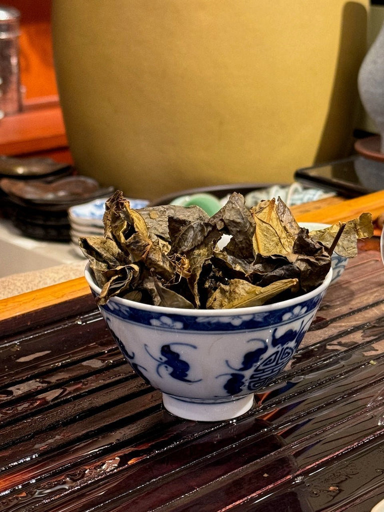 Oak Ash Fermented Dark Tea -Handcrafting Tea at Home | O5 RARE TEA BAR