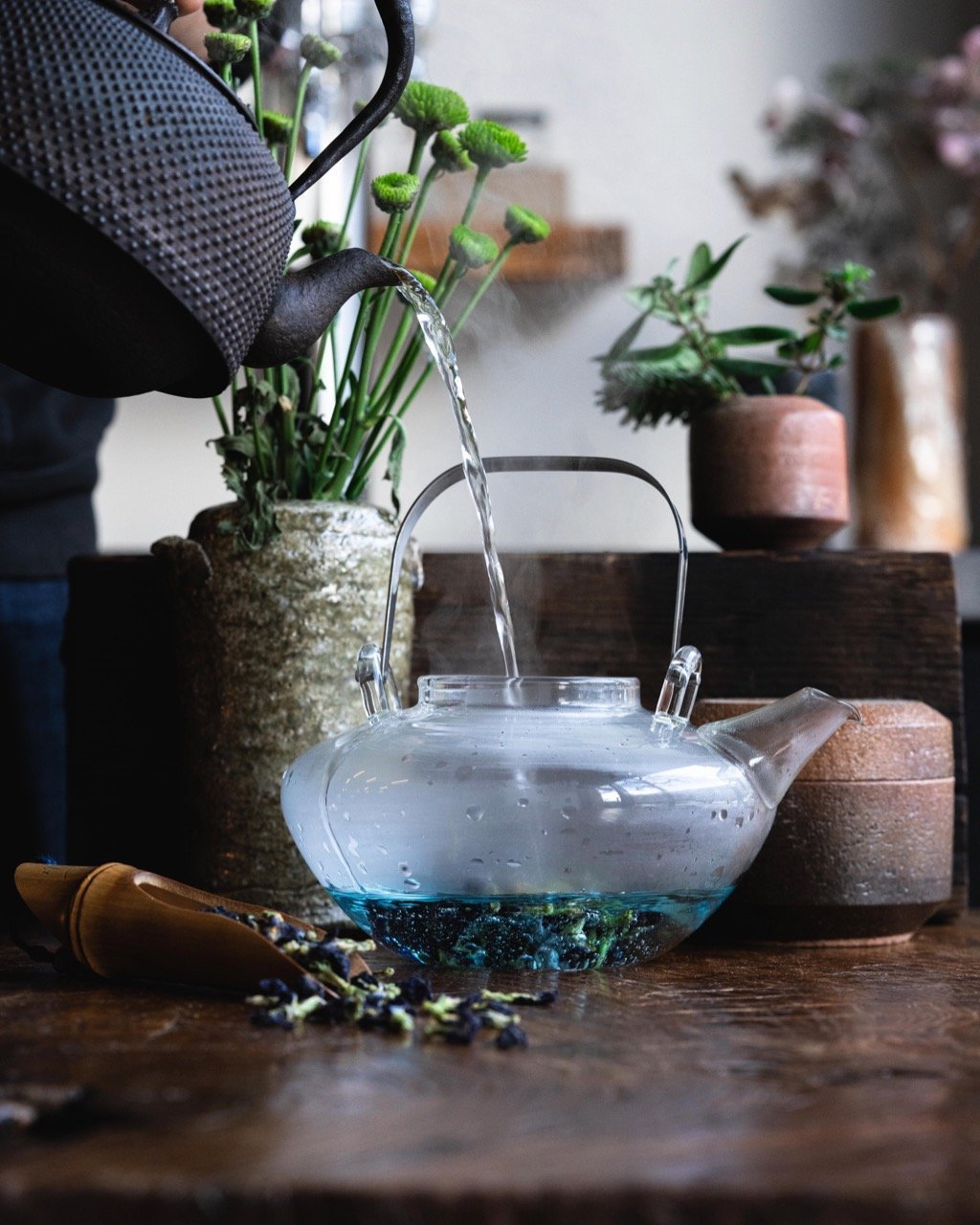 Herbal | Tisane - O5 RARE TEA BAR
