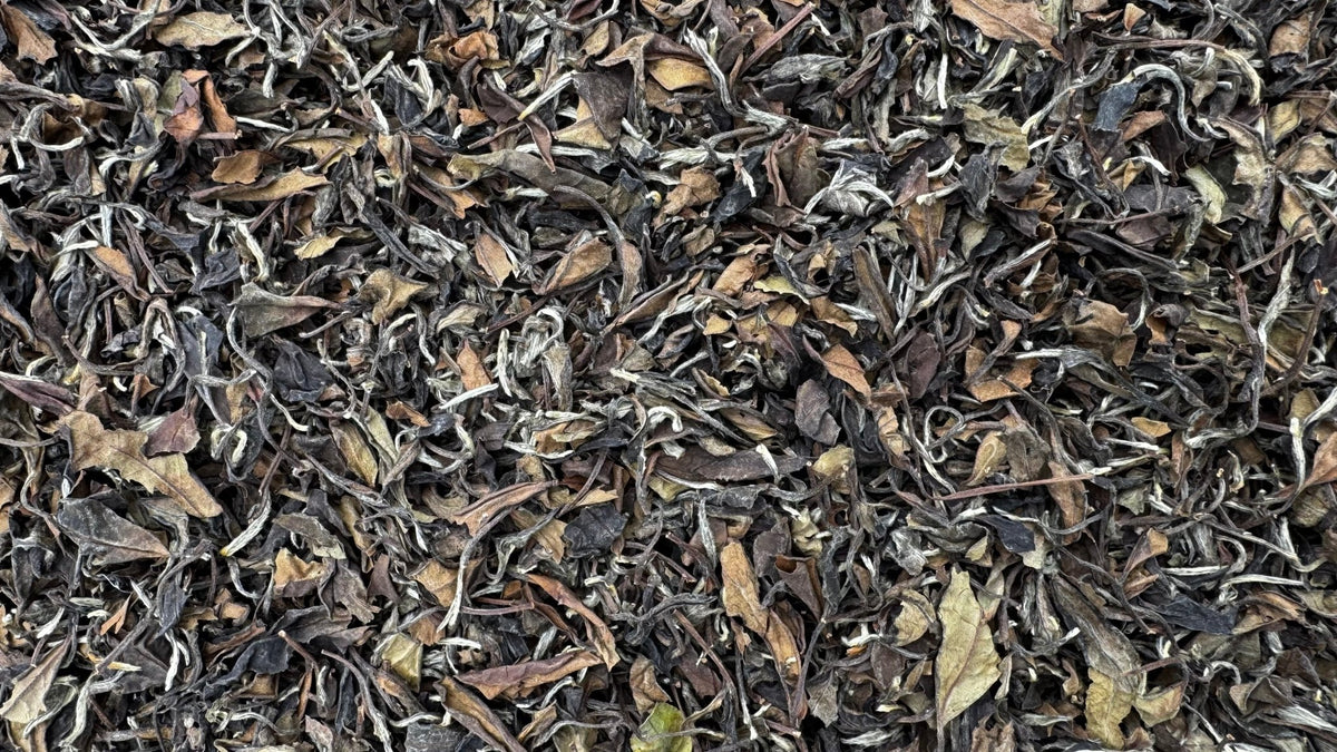 2010 GONG MEI WHITE TEA | Mei Xianjing, Intangible Cultural Heritage ...