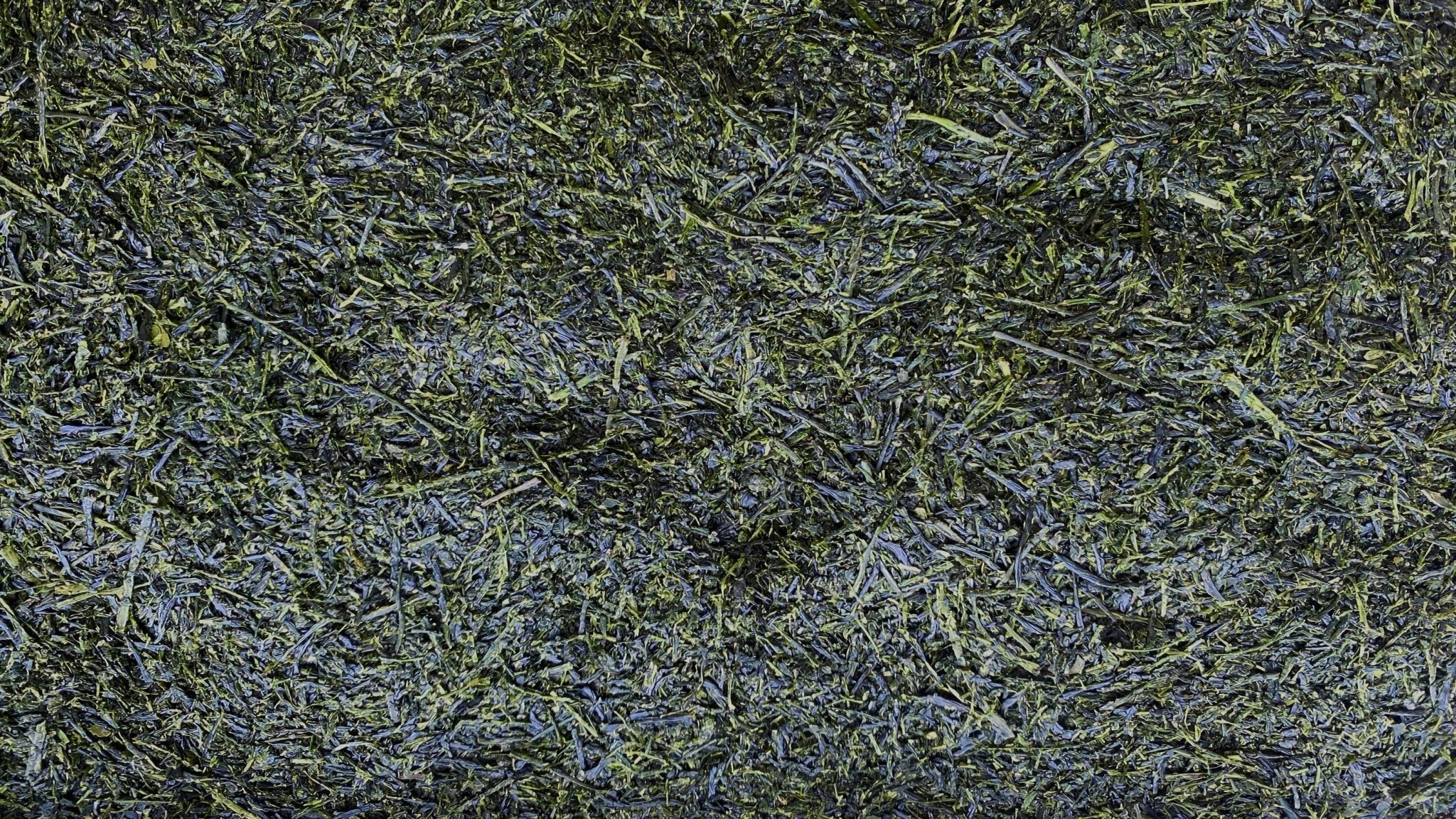2024 CHIRAN SHINCHA | OKUMIDORI - O-FIVE RARE TEA BAR