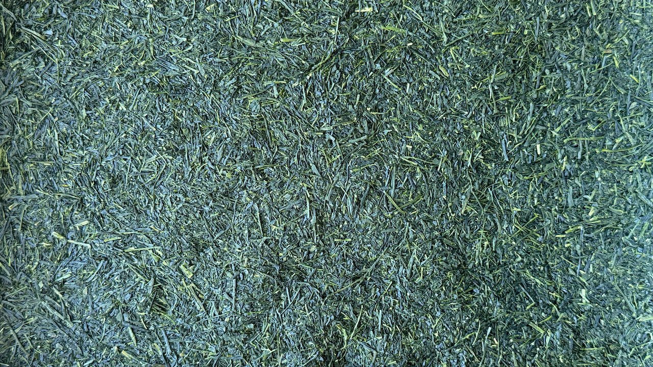 2024 SHINCHA | 2024 Yame Shincha - O - FIVE RARE TEA BAR