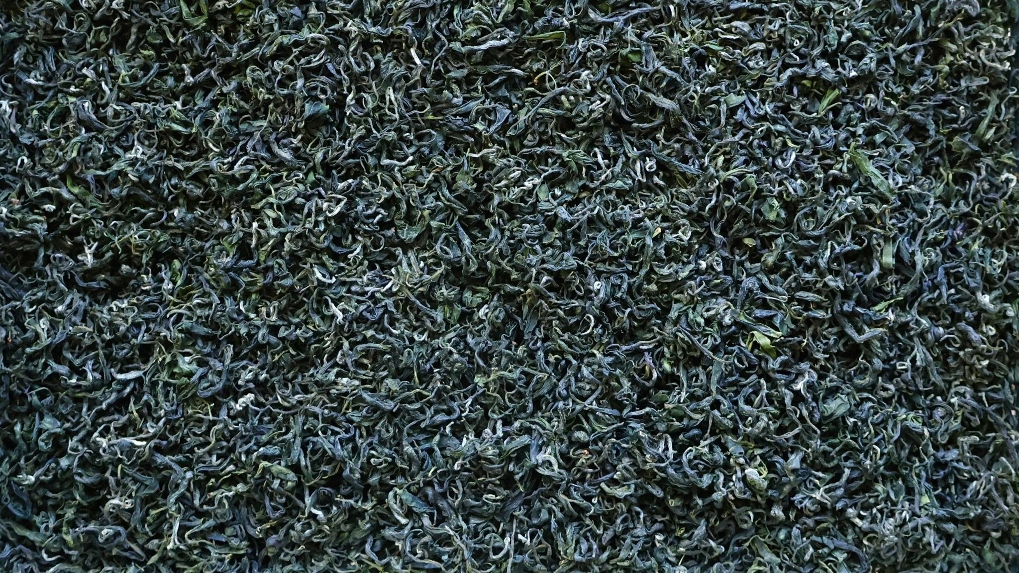 2025 | ELEPHANT IN THE TEA ROOM, GUIZHOU GREEN - O5 RARE TEA BAR