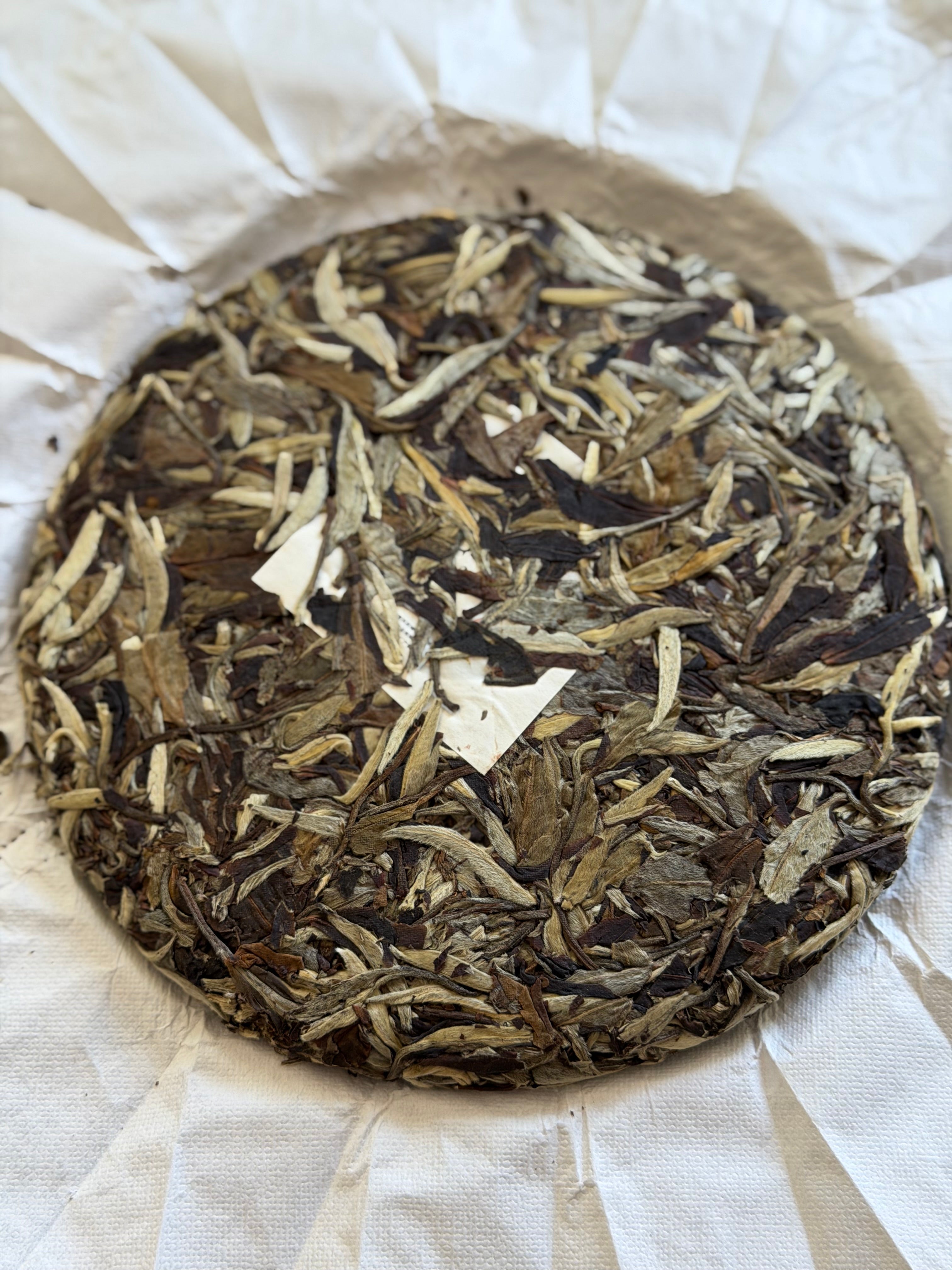 DA YOU, YUNNAN WHITE PEONY | 2023 Ancient Tree White Tea