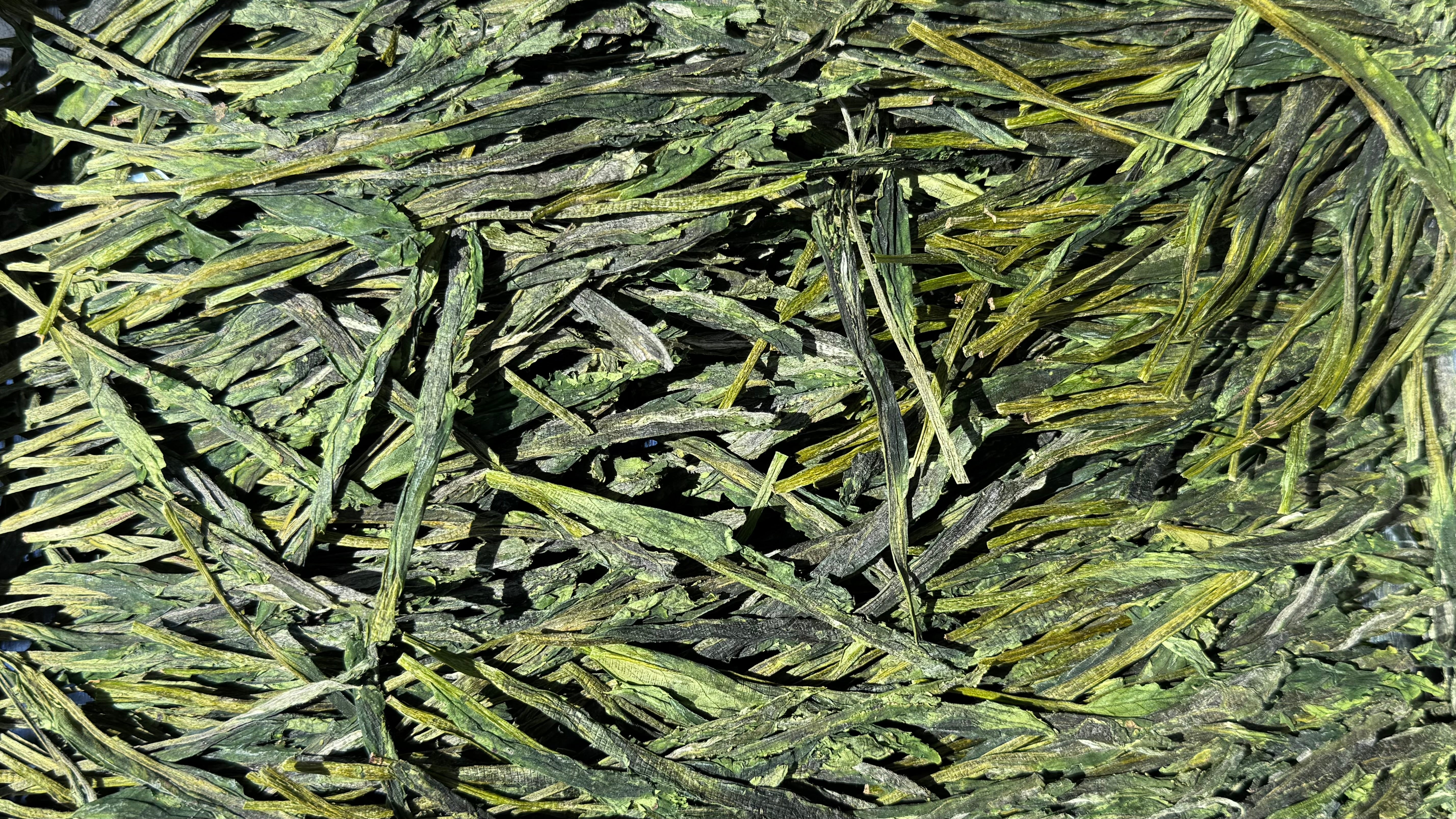 TAIPING HOUKUI (Monkey King) | Pre Qing Ming Green Tea - O-FIVE RARE TEA BAR